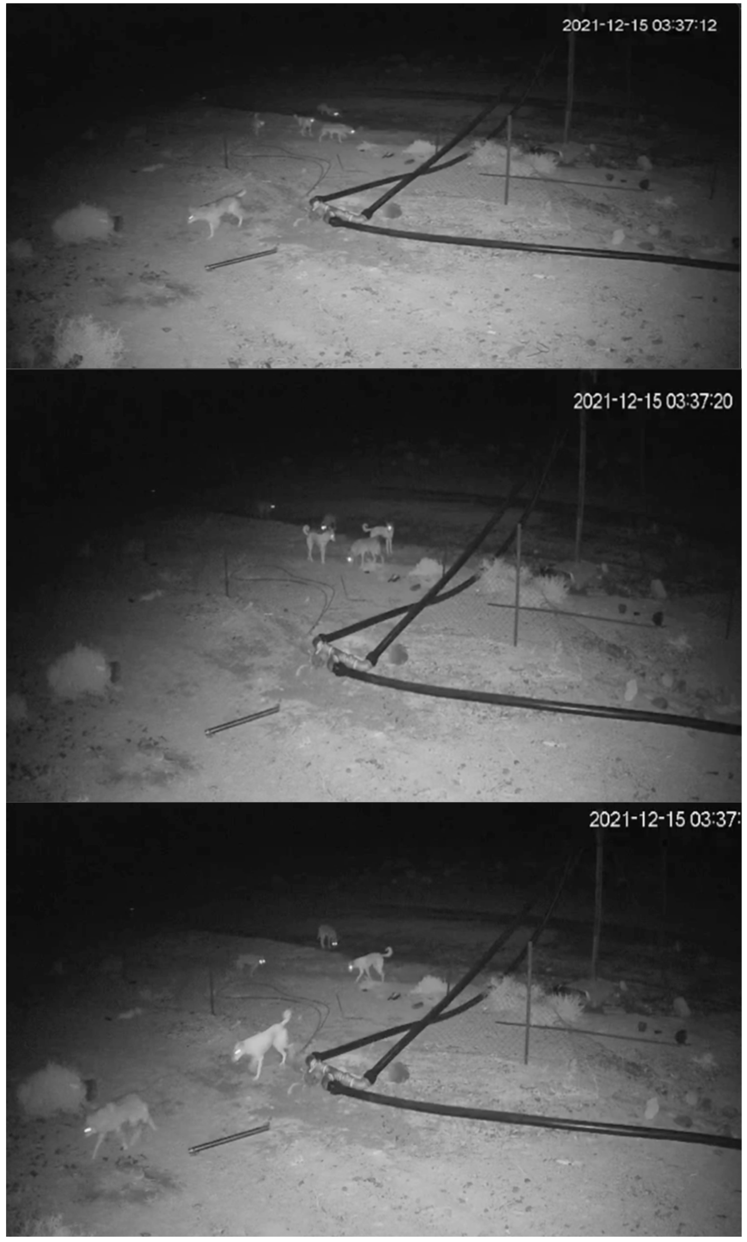 Biology 14 00839 g002