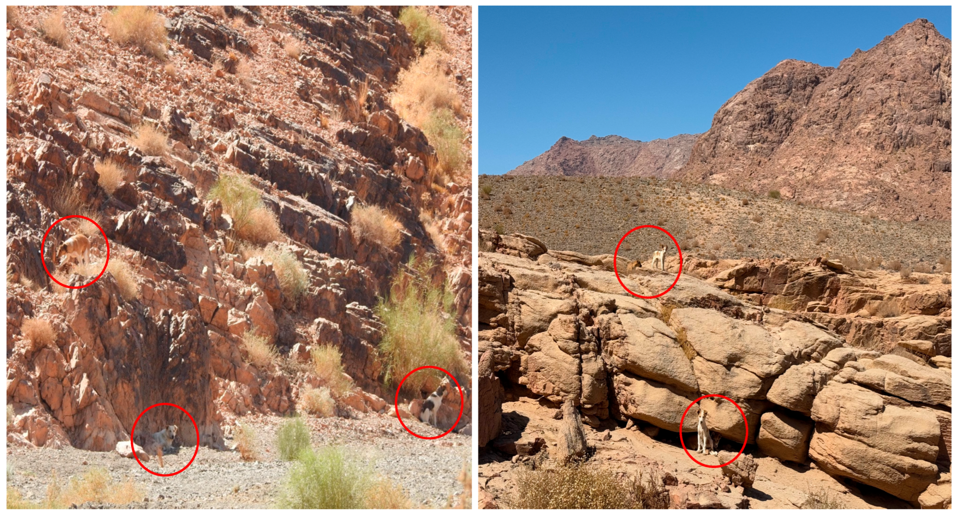 Biology 14 00839 g003