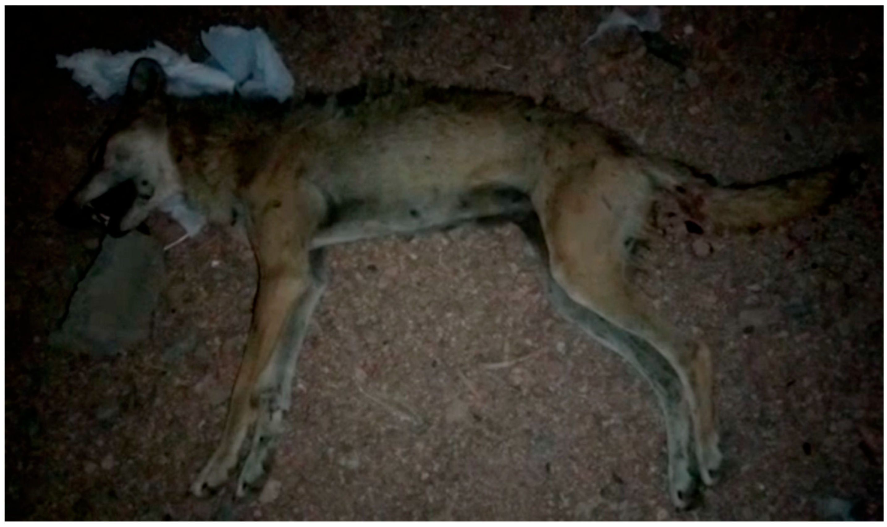 Biology 14 00839 g004