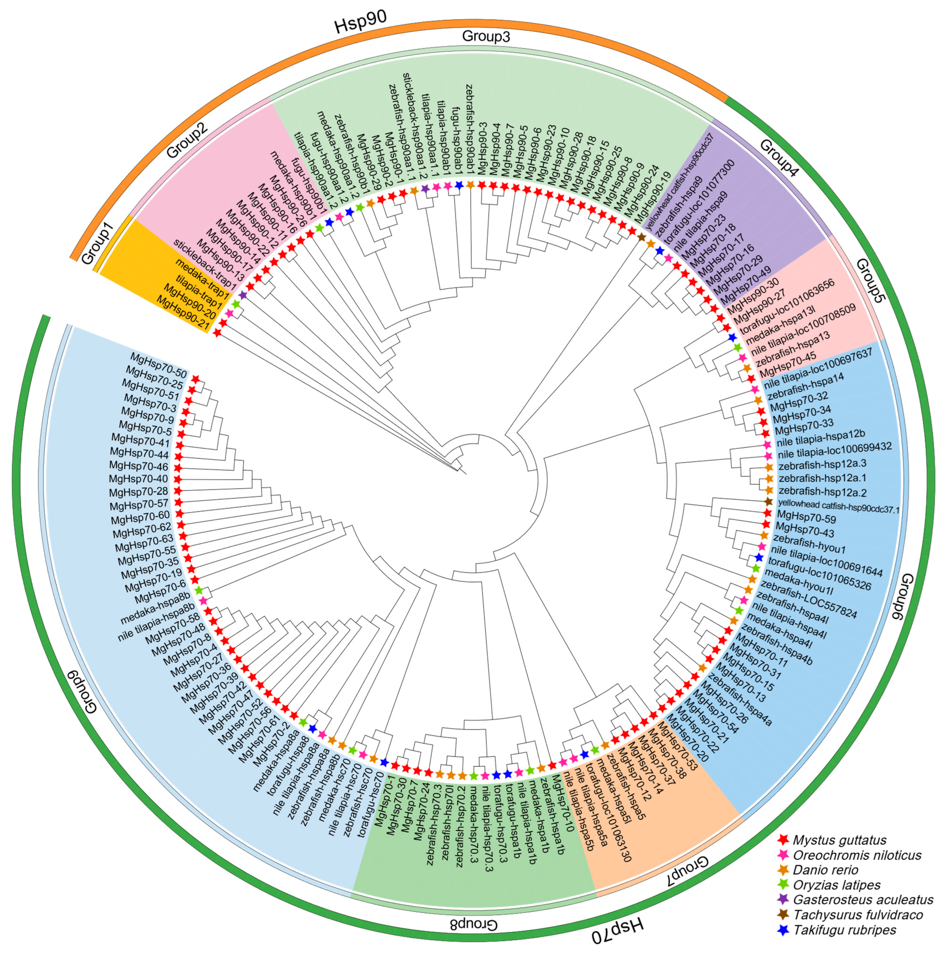 Biology 14 00840 g004