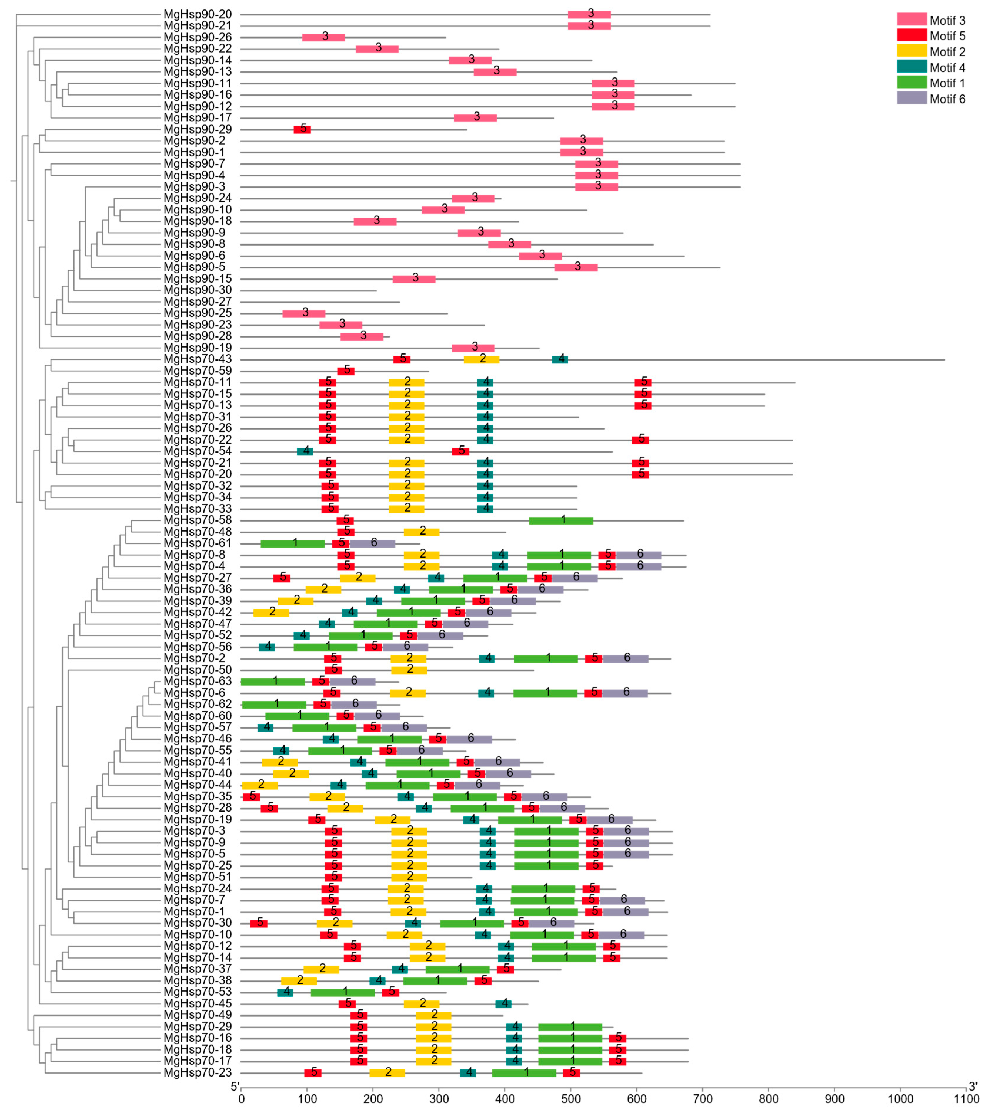 Biology 14 00840 g005