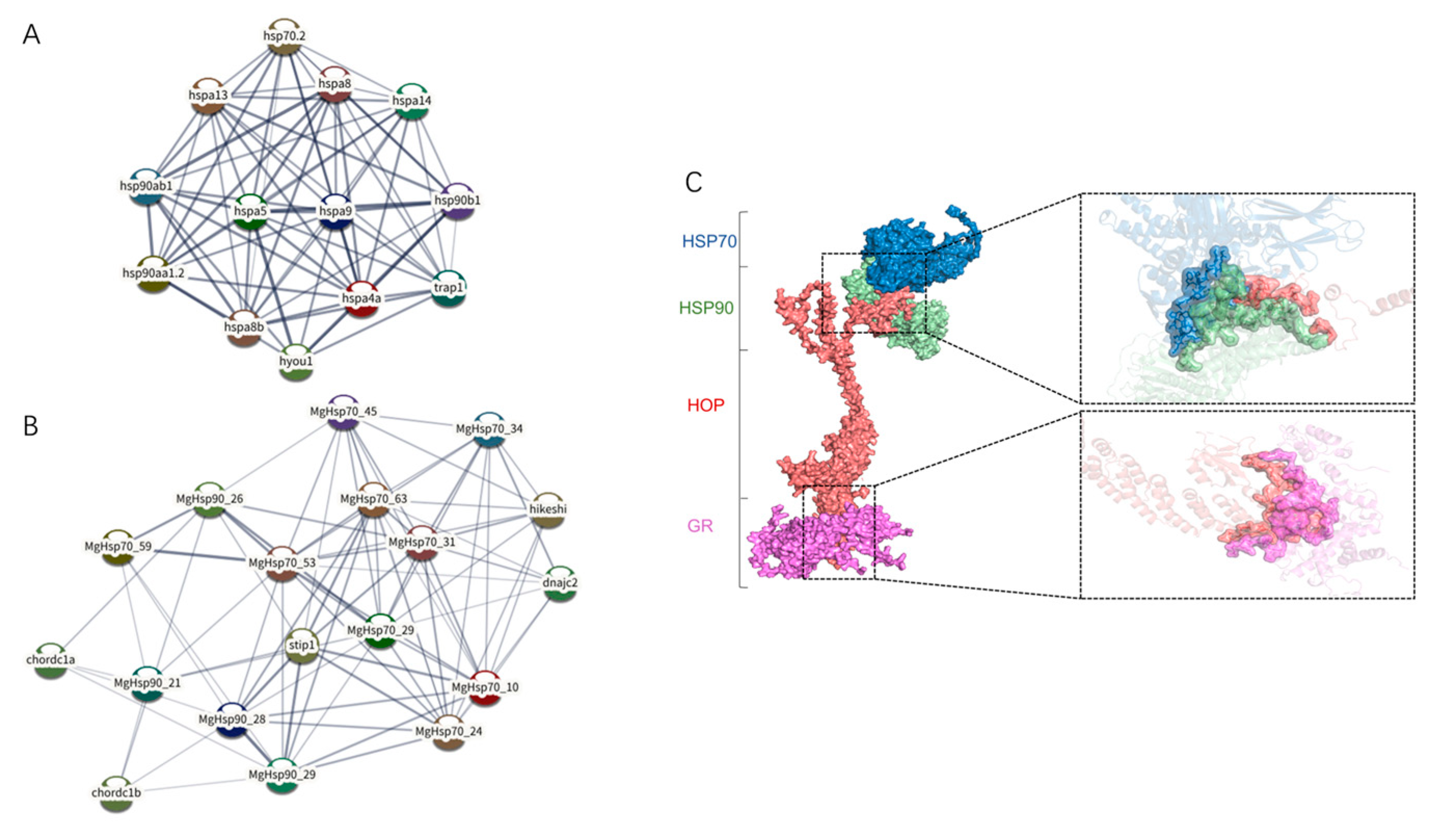 Biology 14 00840 g006
