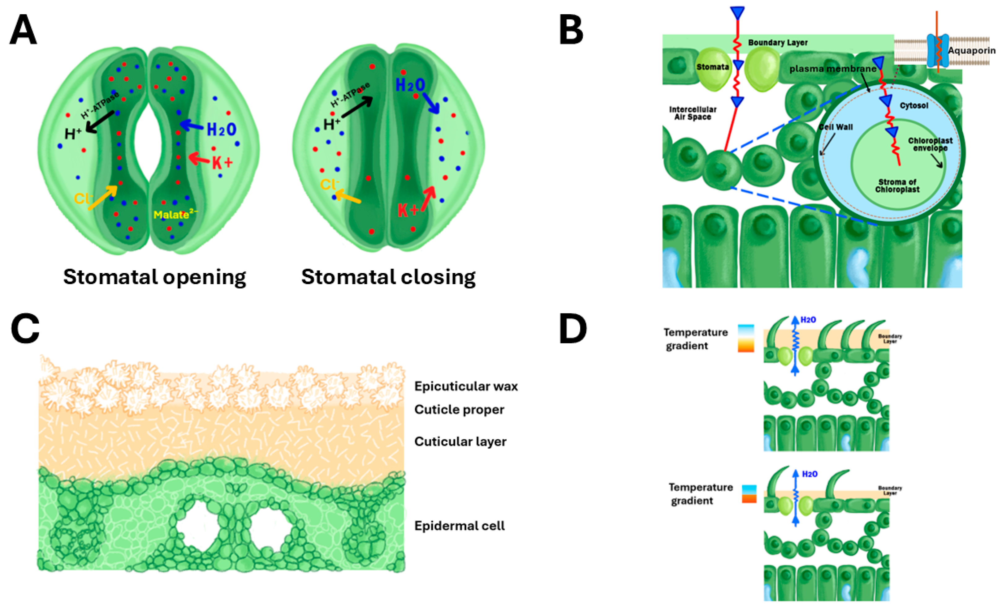 Biology 14 00843 g001