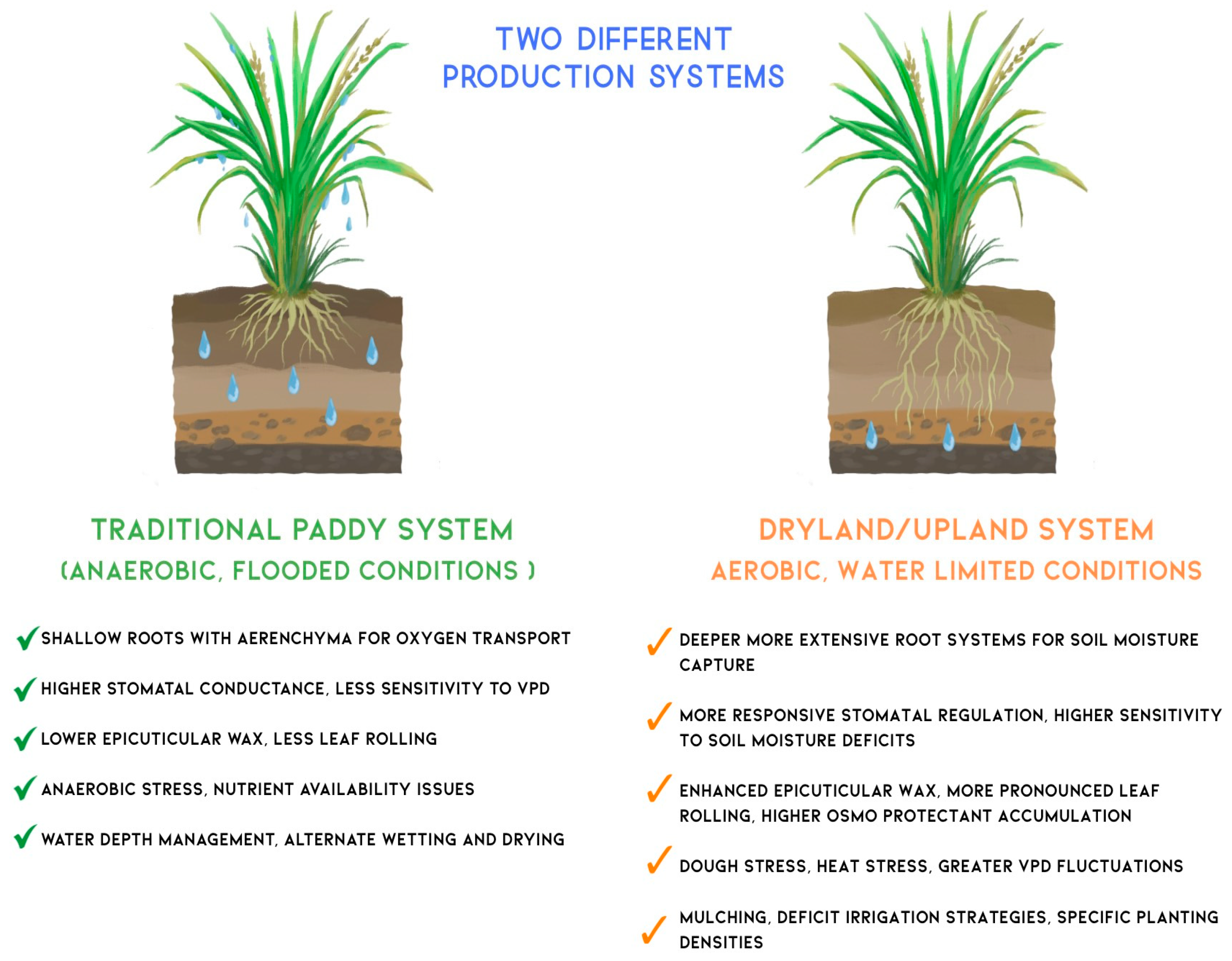 Biology 14 00843 g002