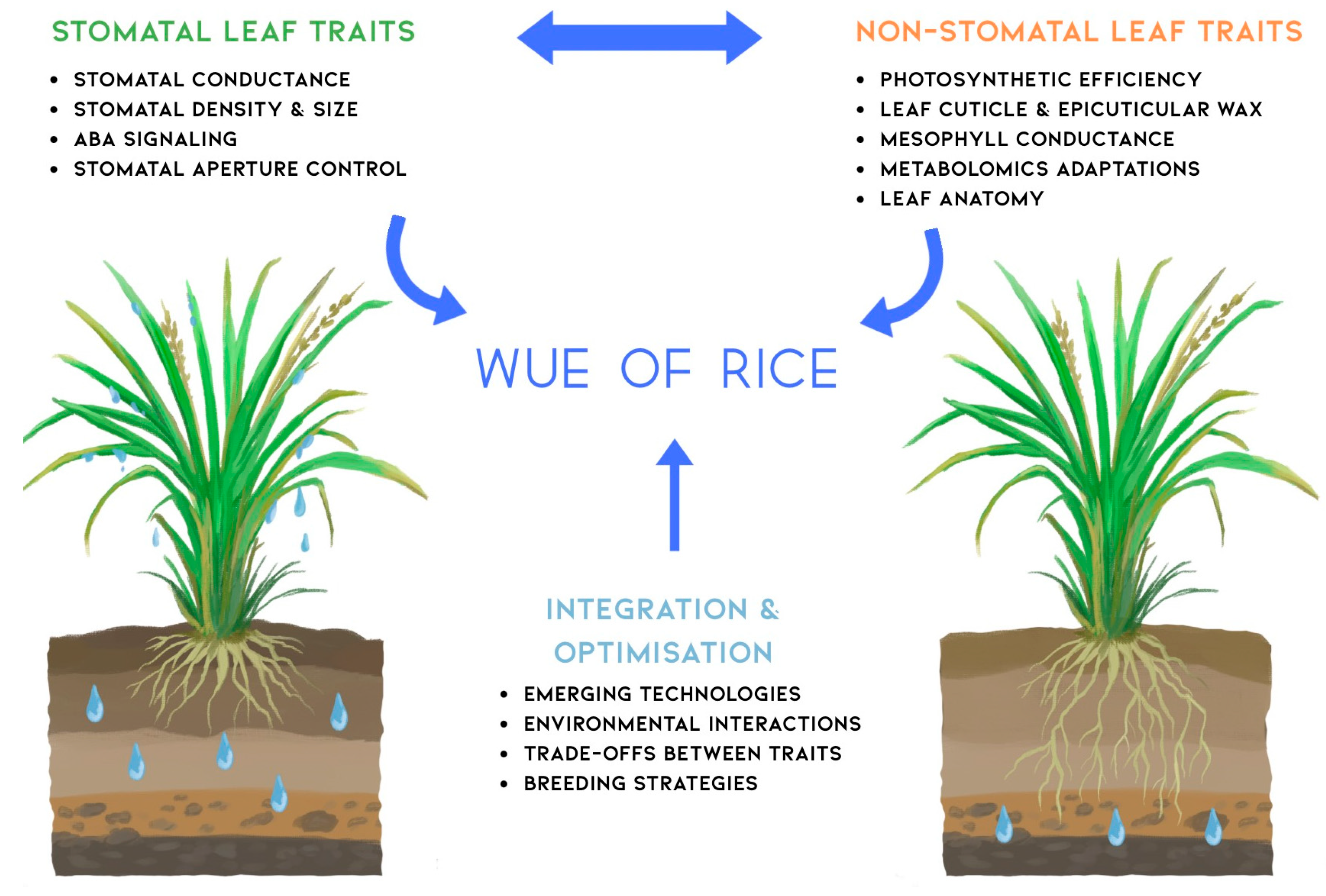 Biology 14 00843 g003