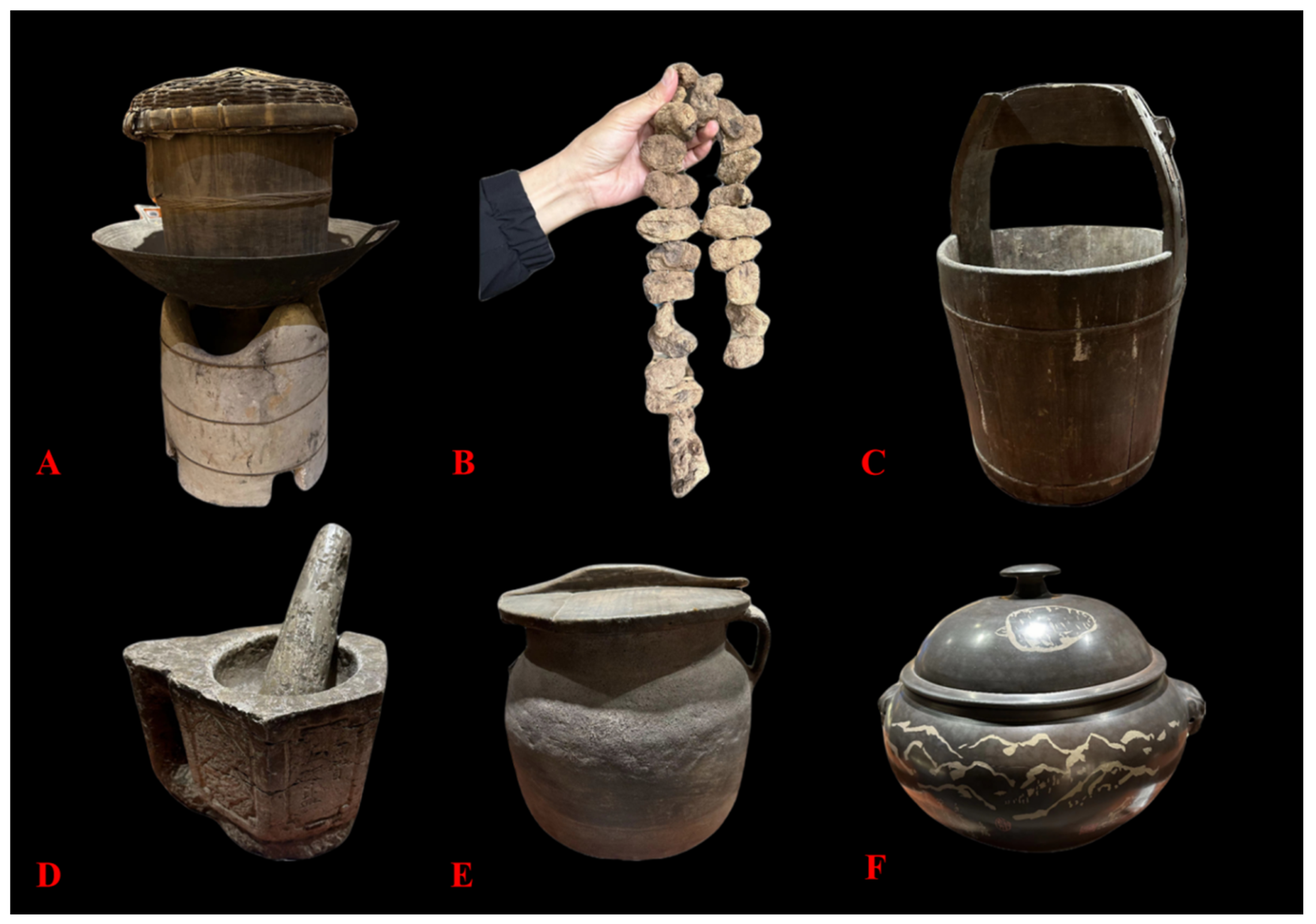 Biology 14 00846 g004