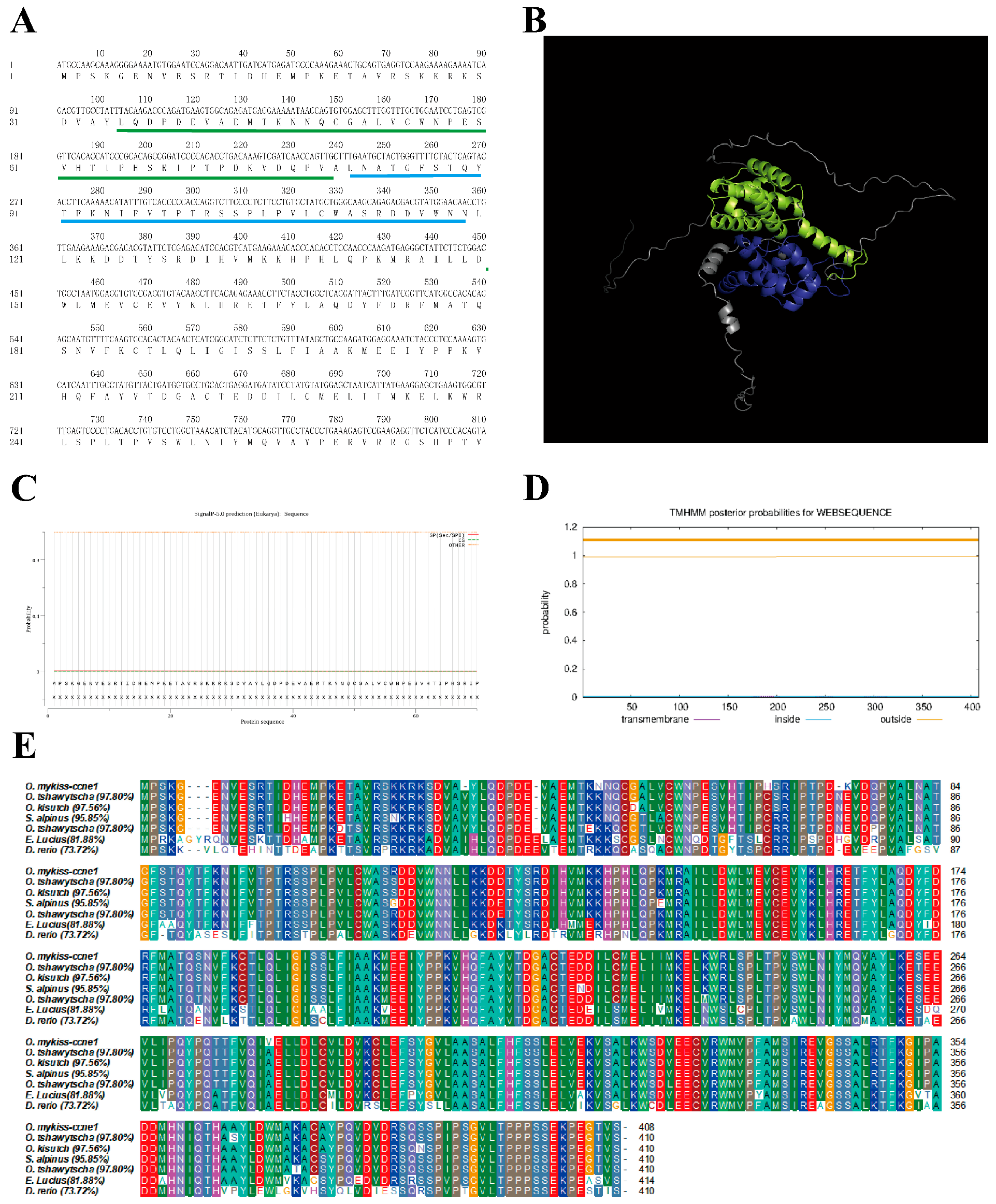 Biology 14 00862 g001