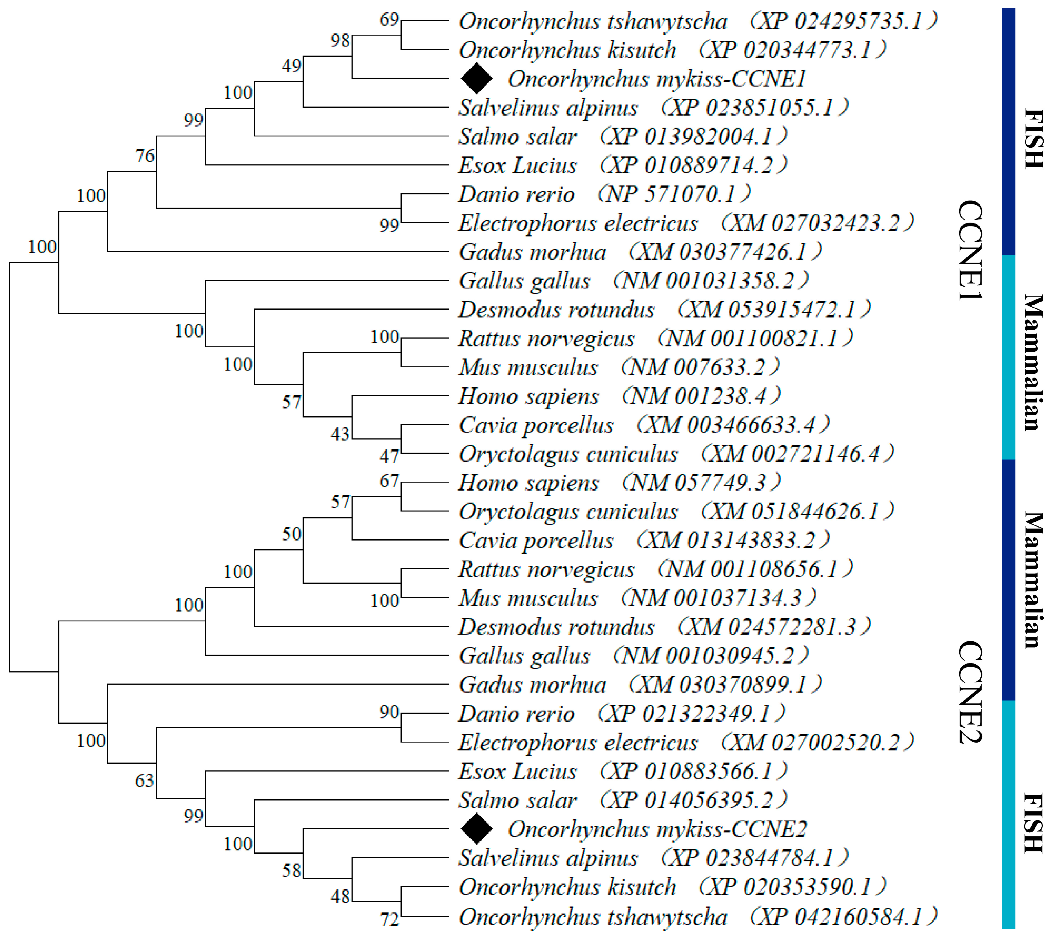 Biology 14 00862 g002