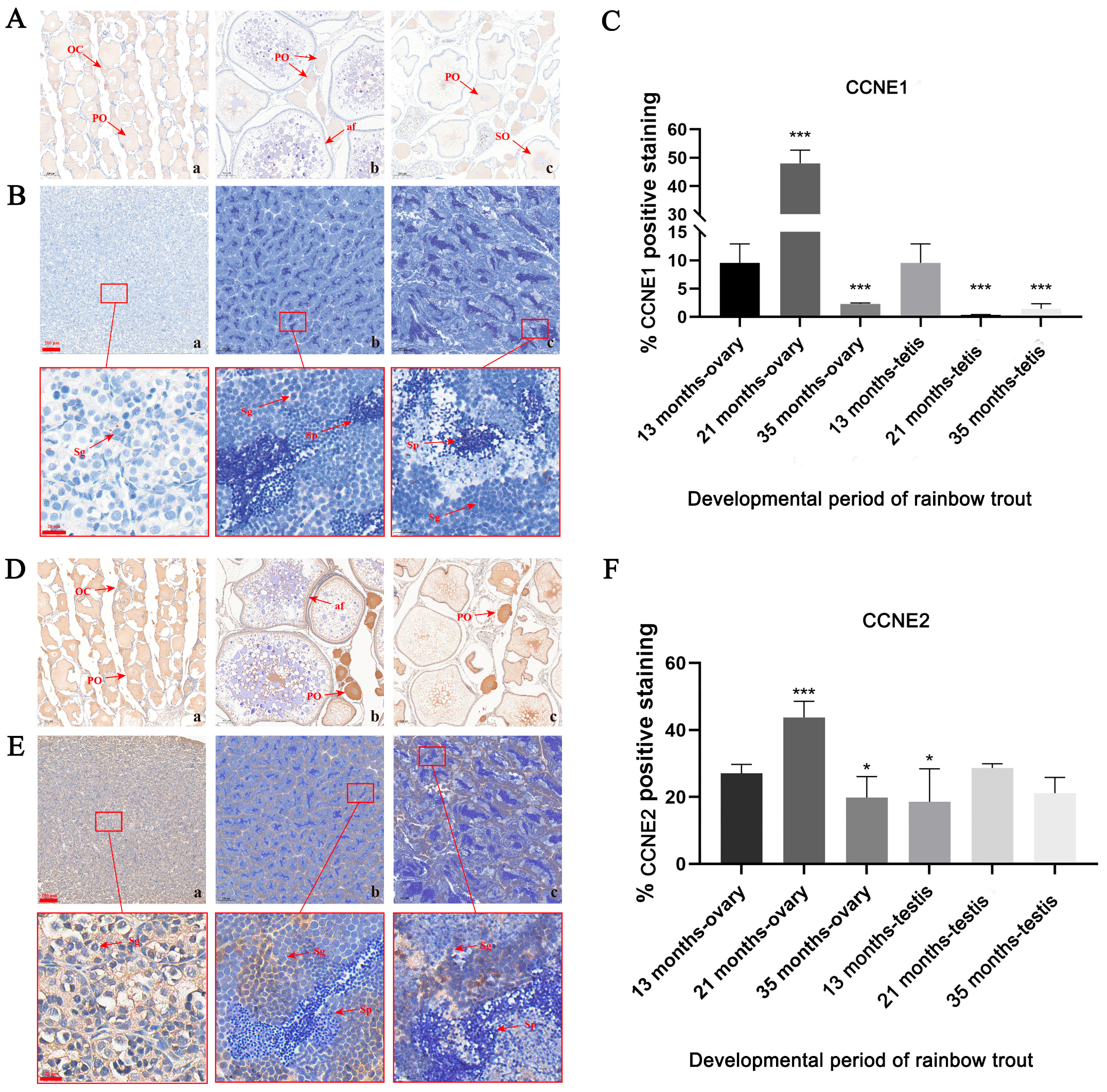 Biology 14 00862 g004