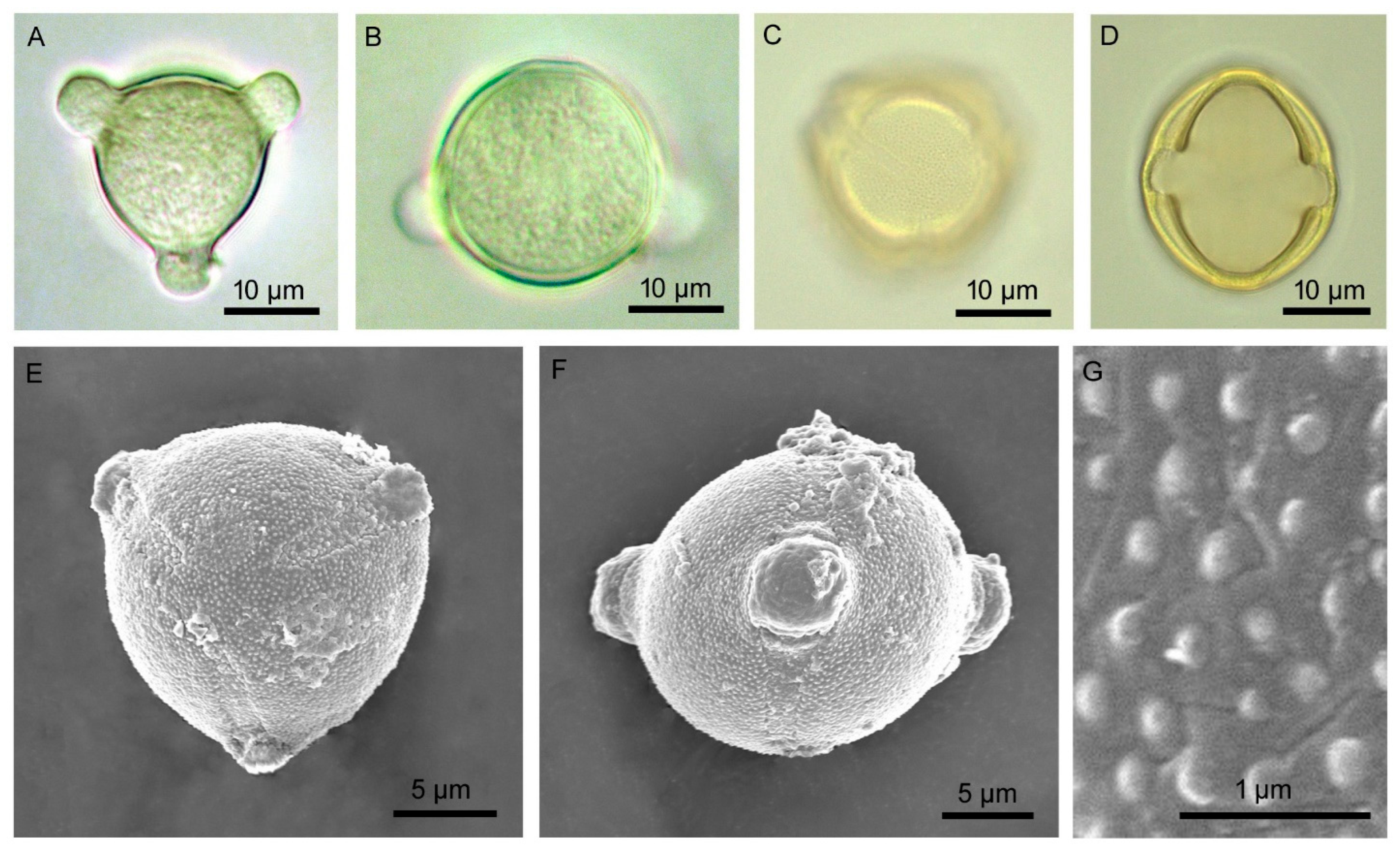 Biology 14 00865 g005