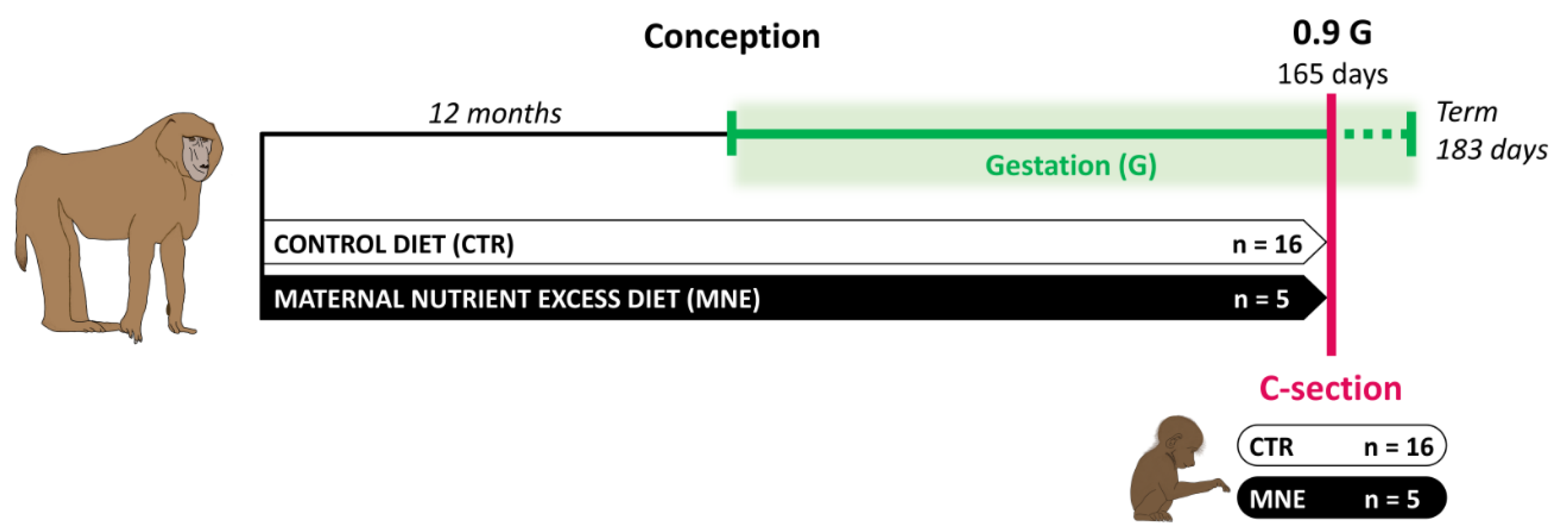 Biology 14 00868 g001