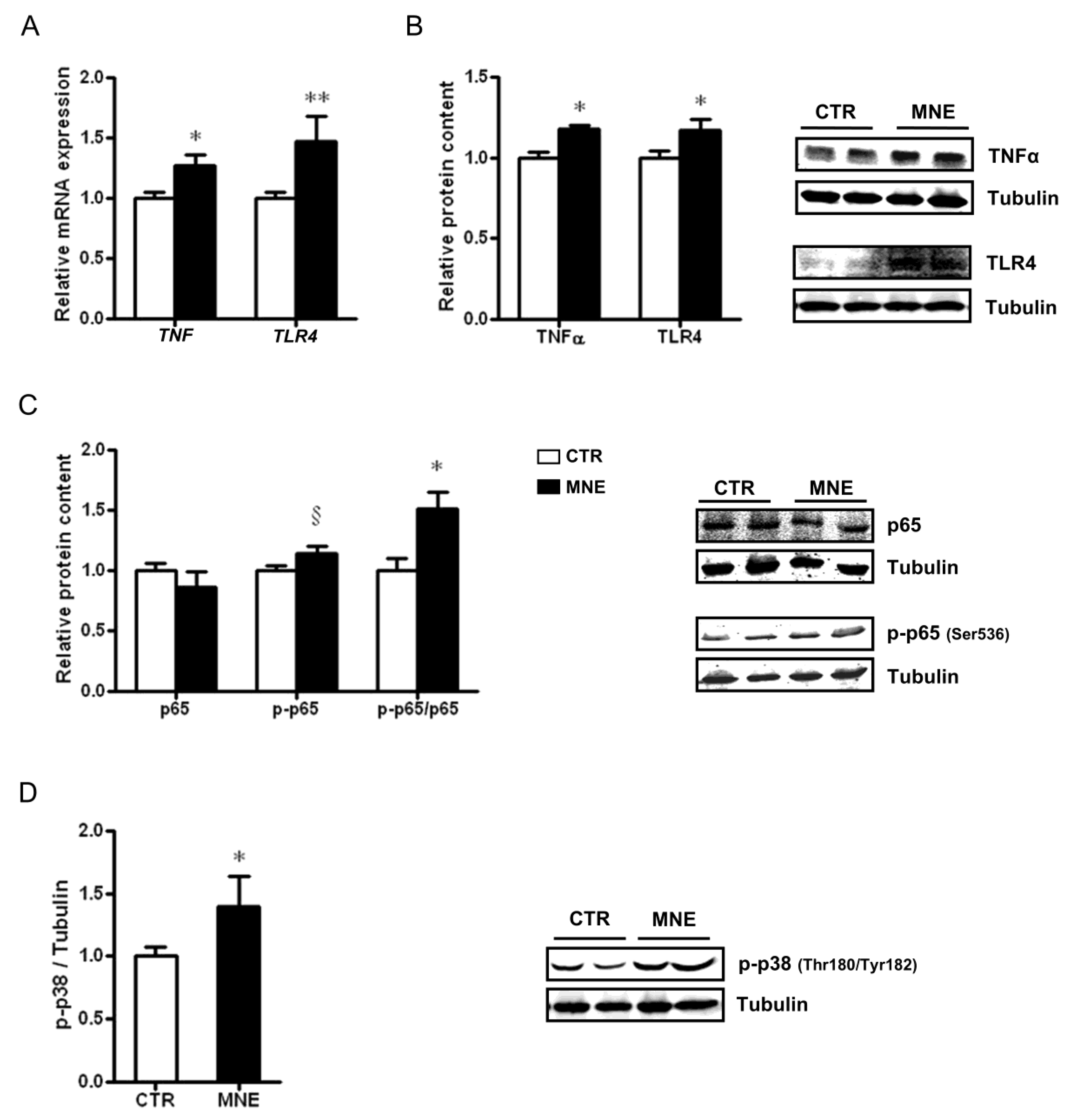Biology 14 00868 g004