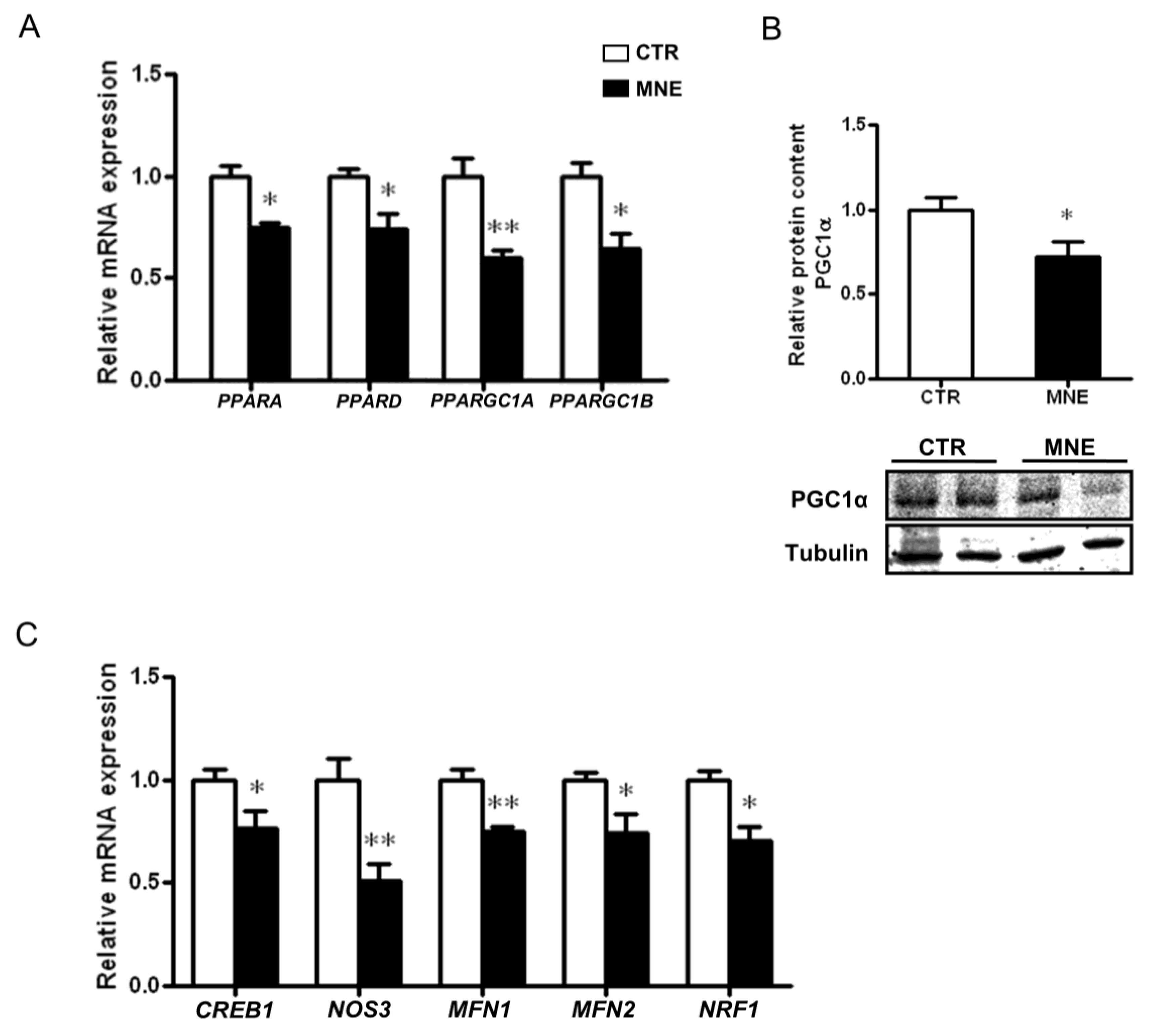 Biology 14 00868 g005