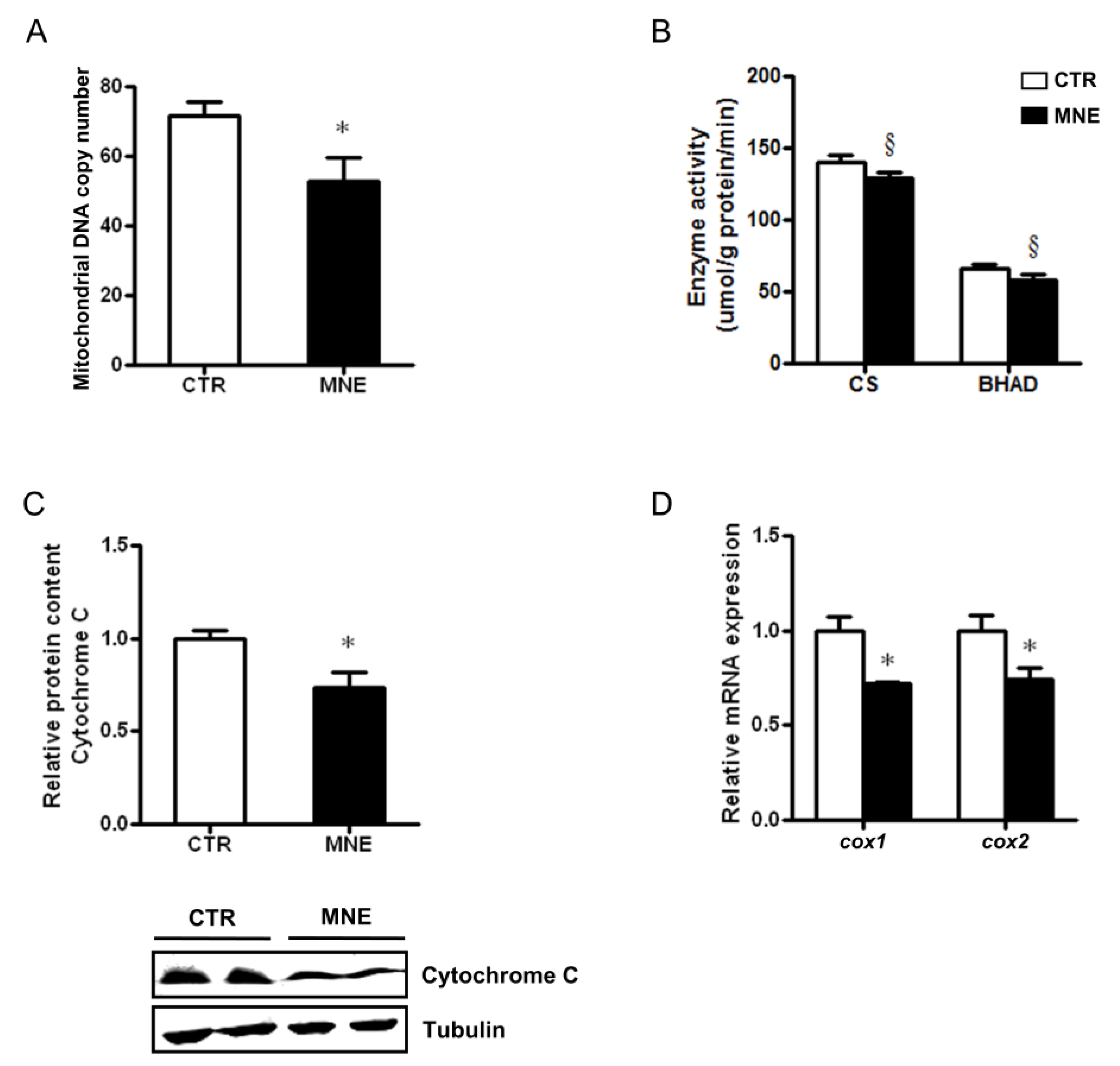 Biology 14 00868 g007