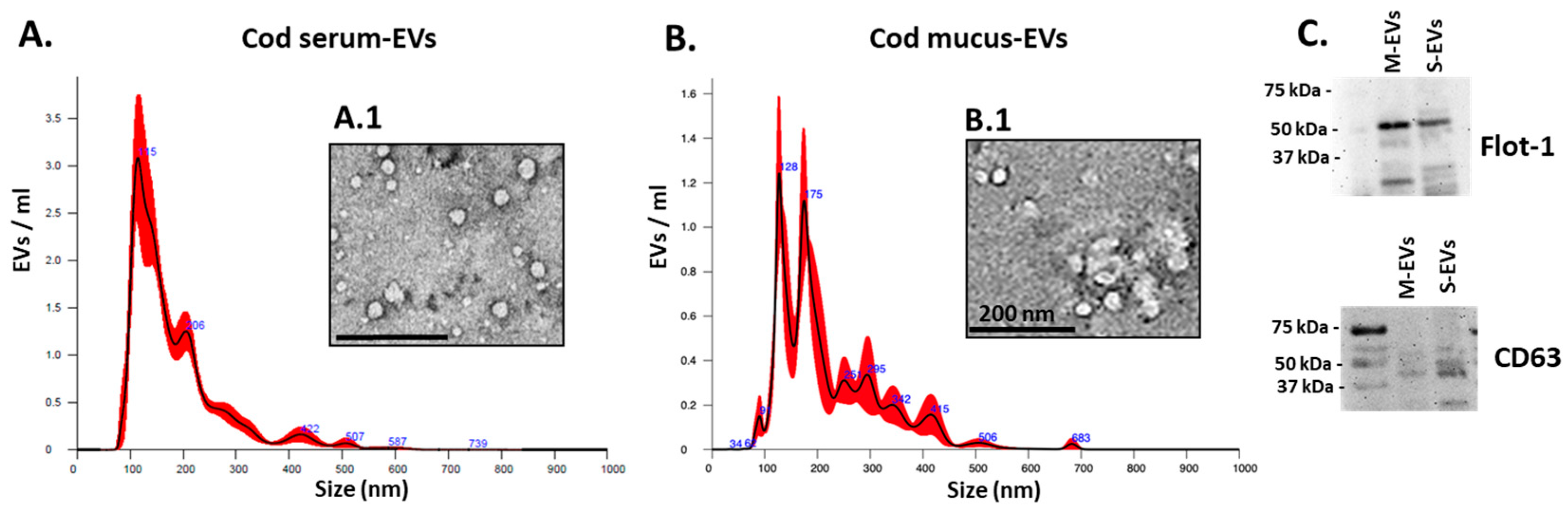 Biology 14 00870 g001