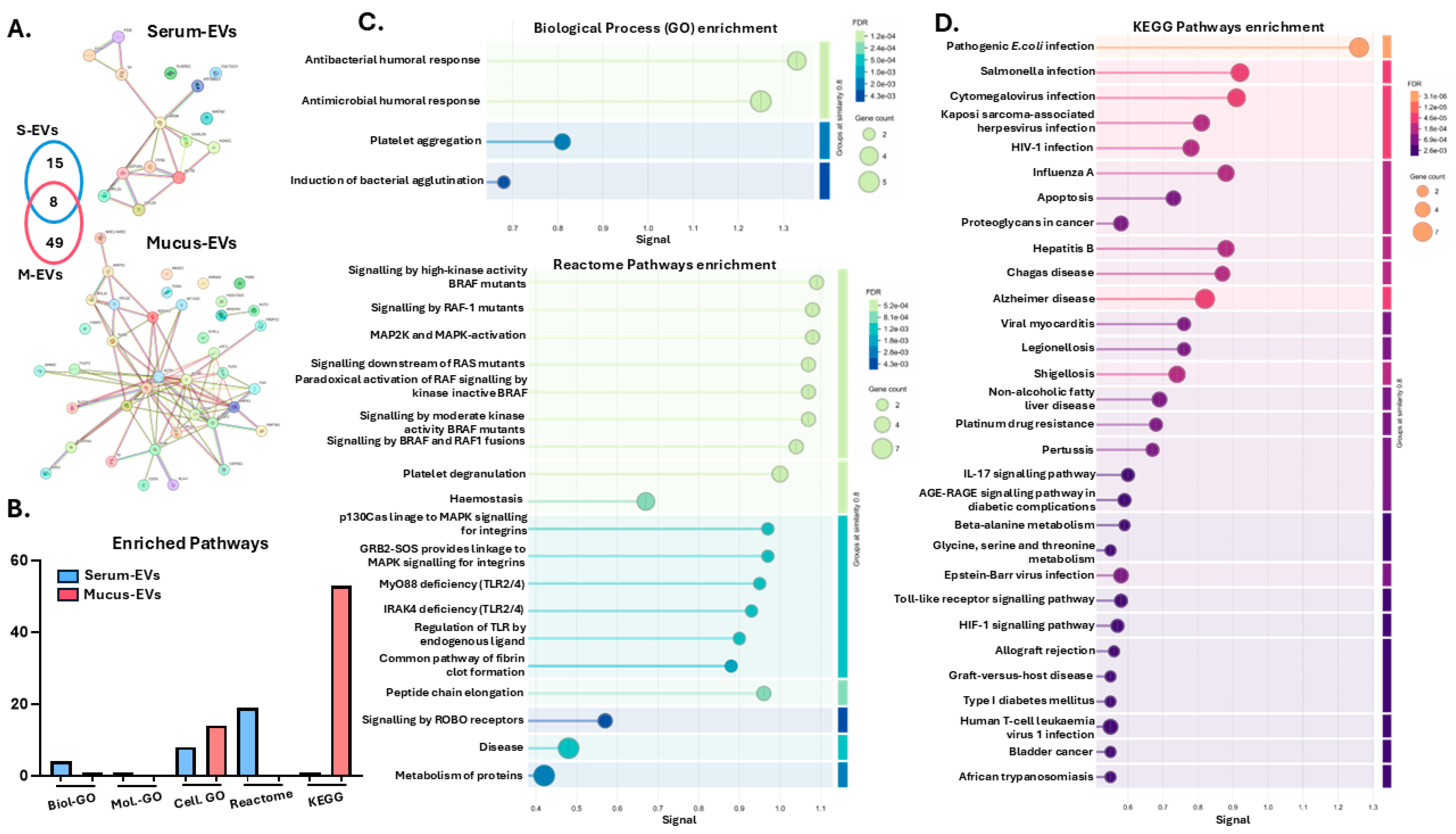 Biology 14 00870 g002