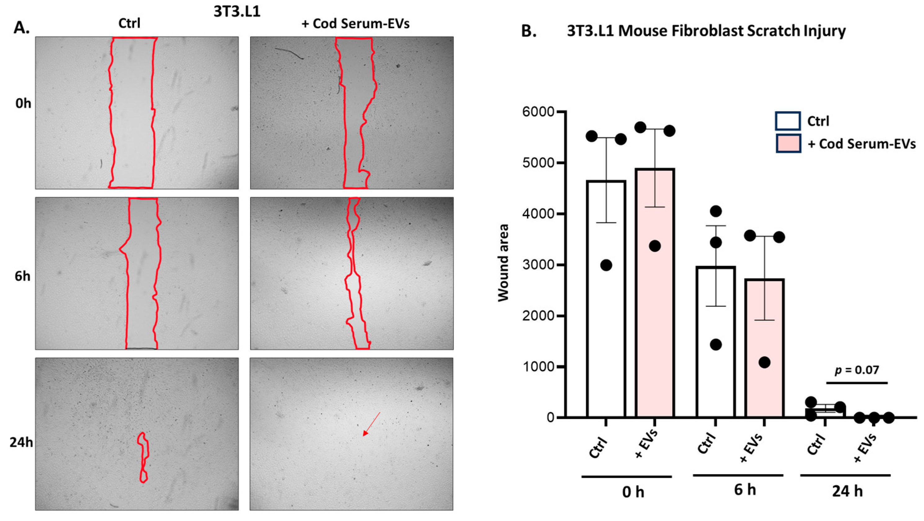 Biology 14 00870 g003