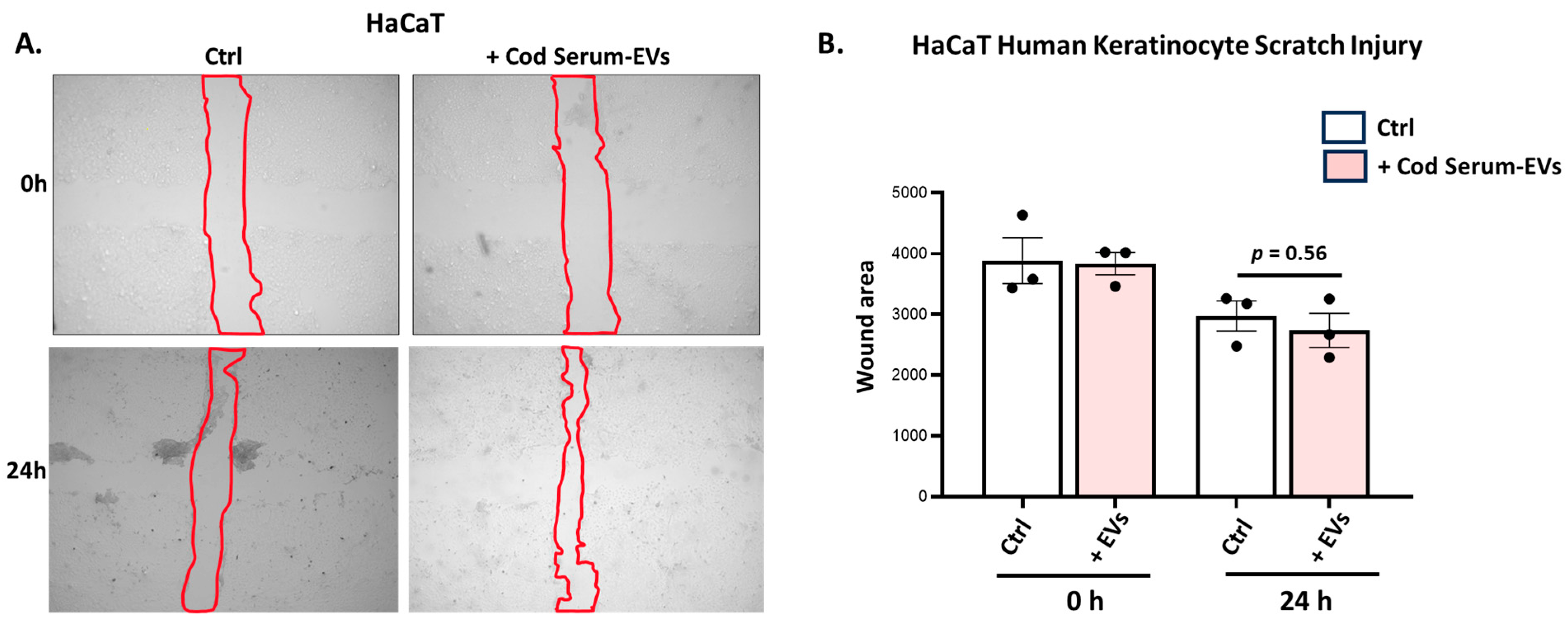 Biology 14 00870 g004