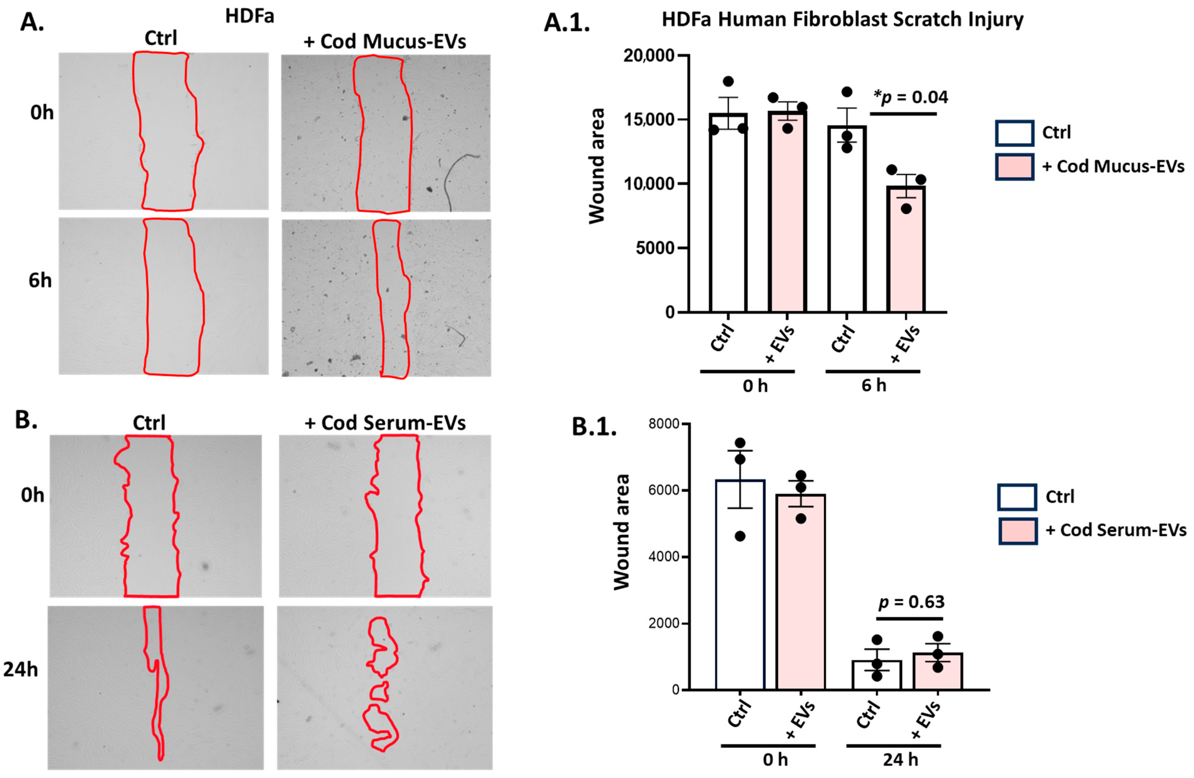 Biology 14 00870 g005