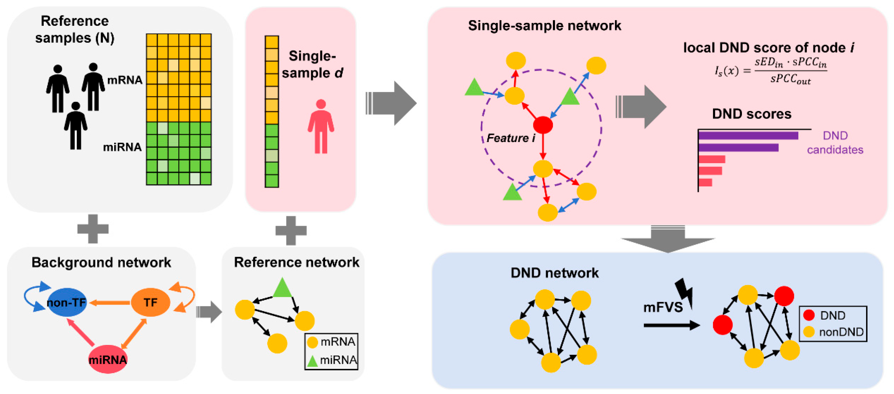Biology 14 00876 g001 Biology 14 00876 g001
