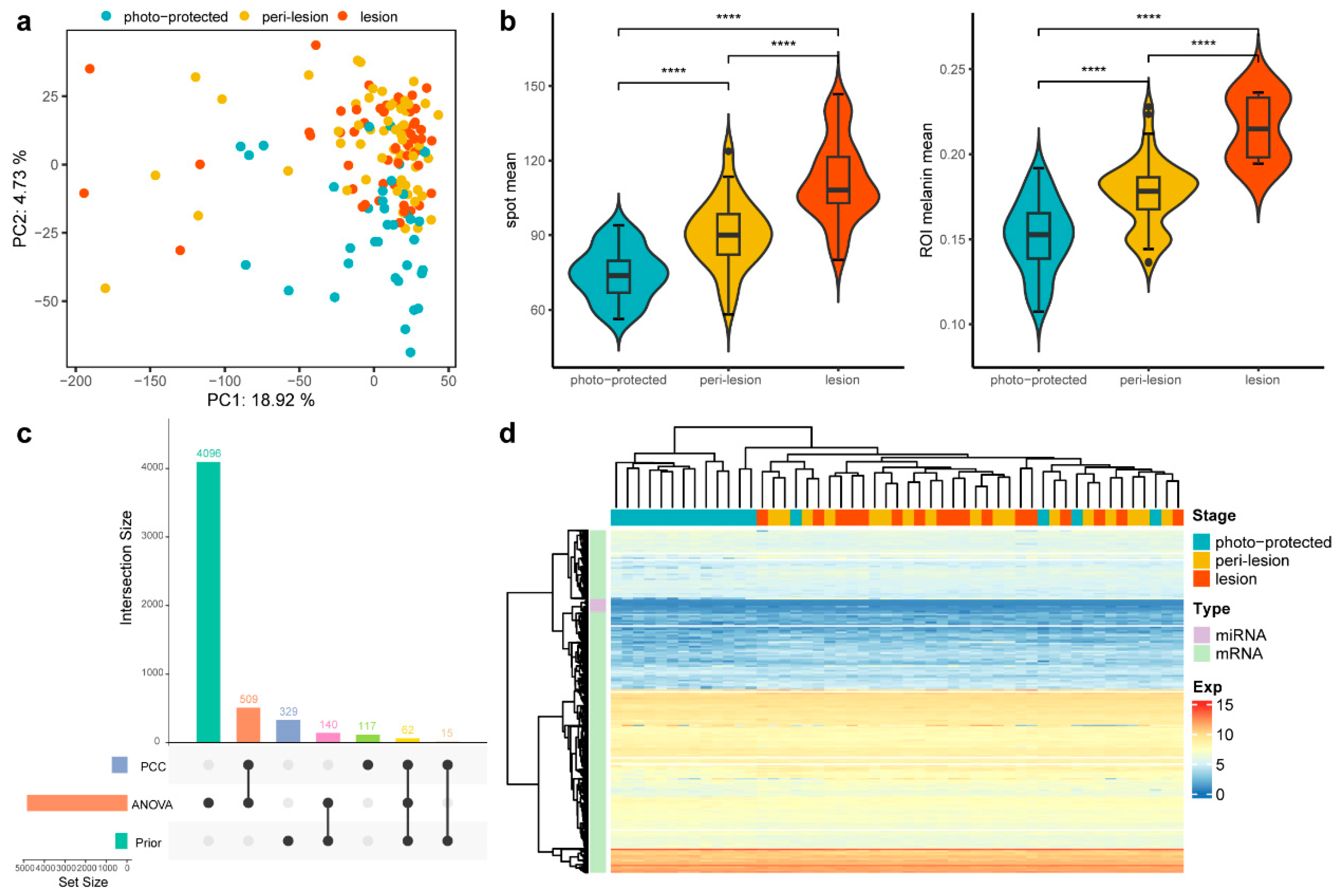 Biology 14 00876 g002 Biology 14 00876 g002