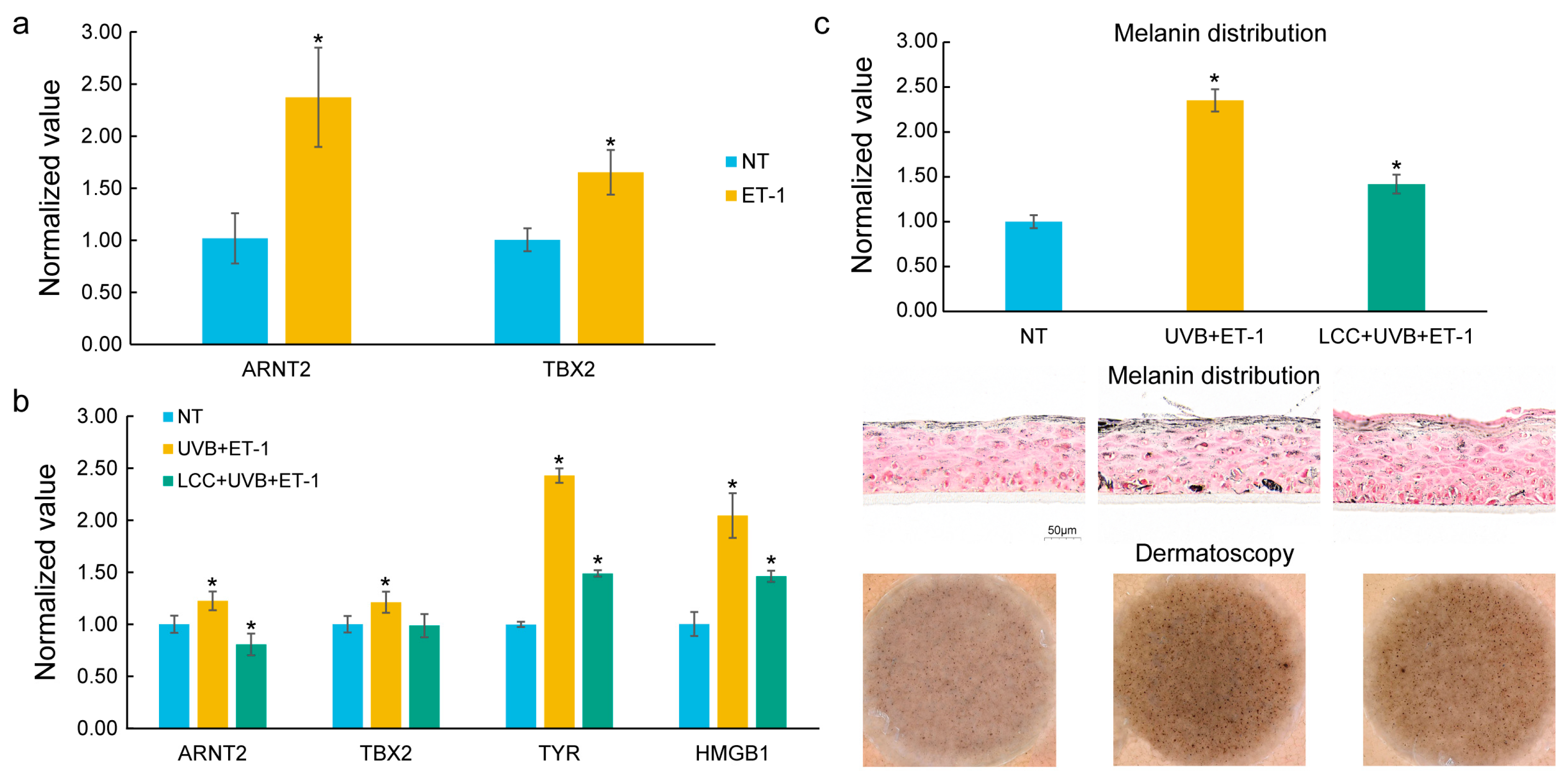 Biology 14 00876 g005 Biology 14 00876 g005
