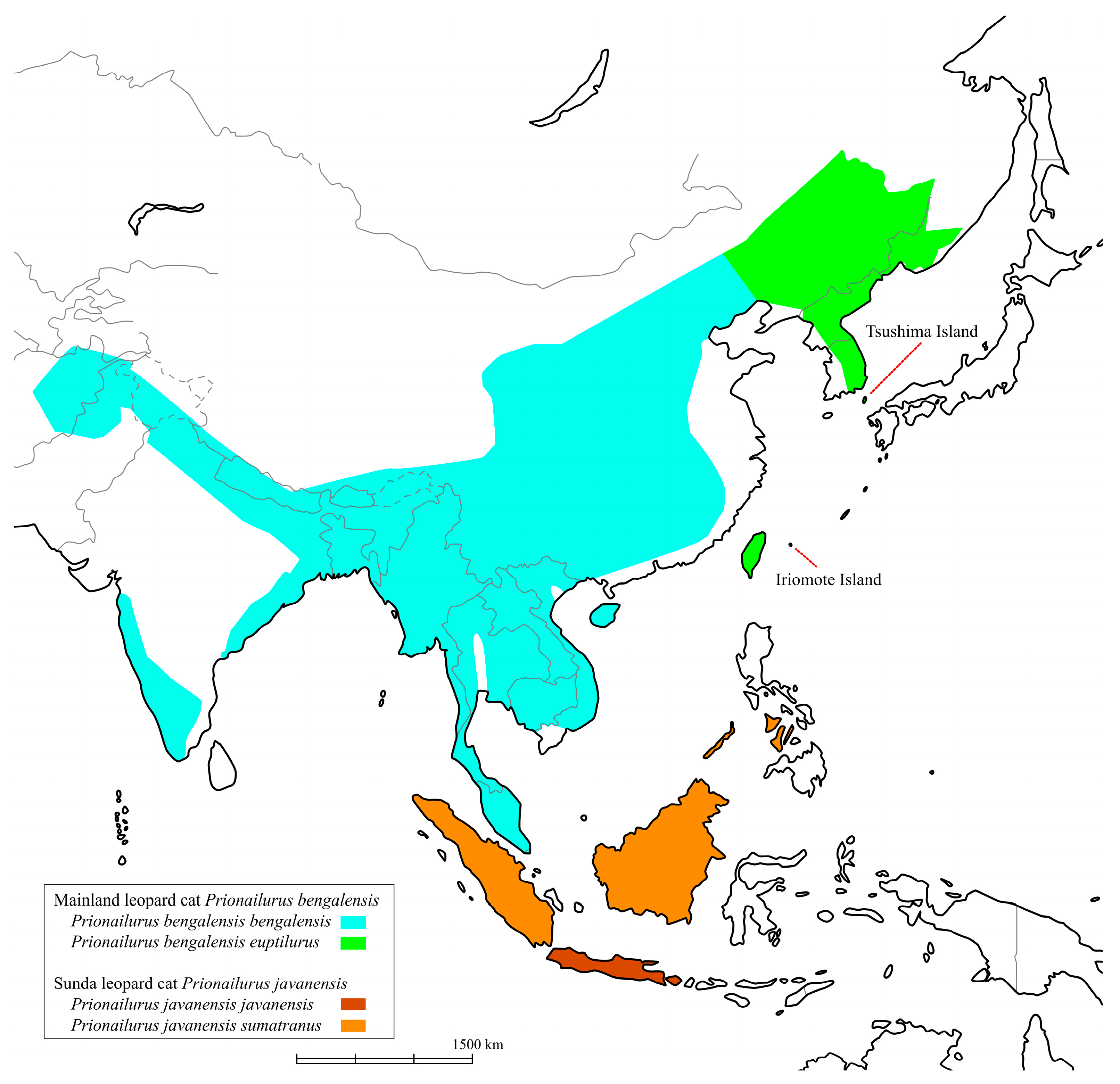 Biology 14 00880 g001