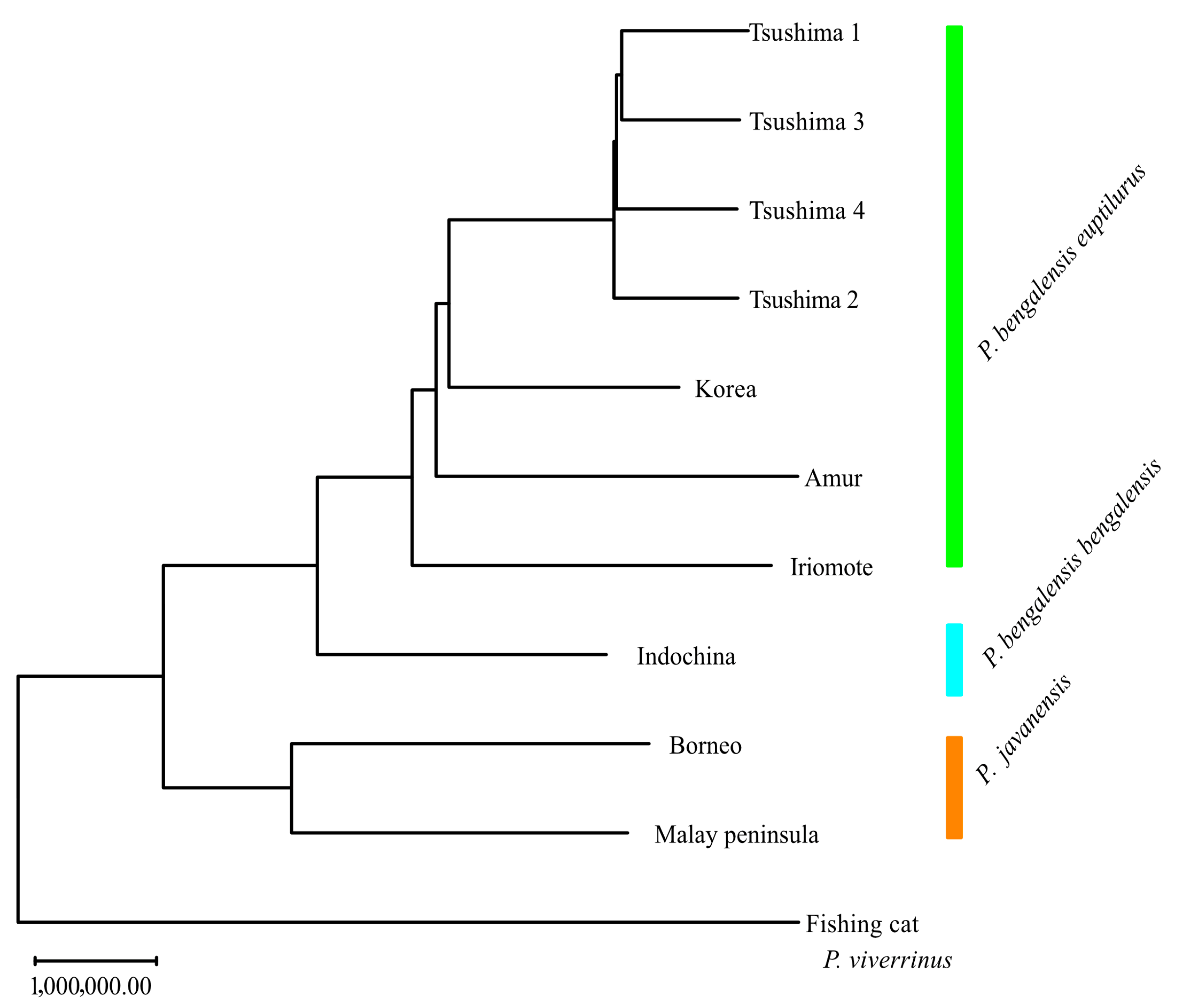 Biology 14 00880 g004