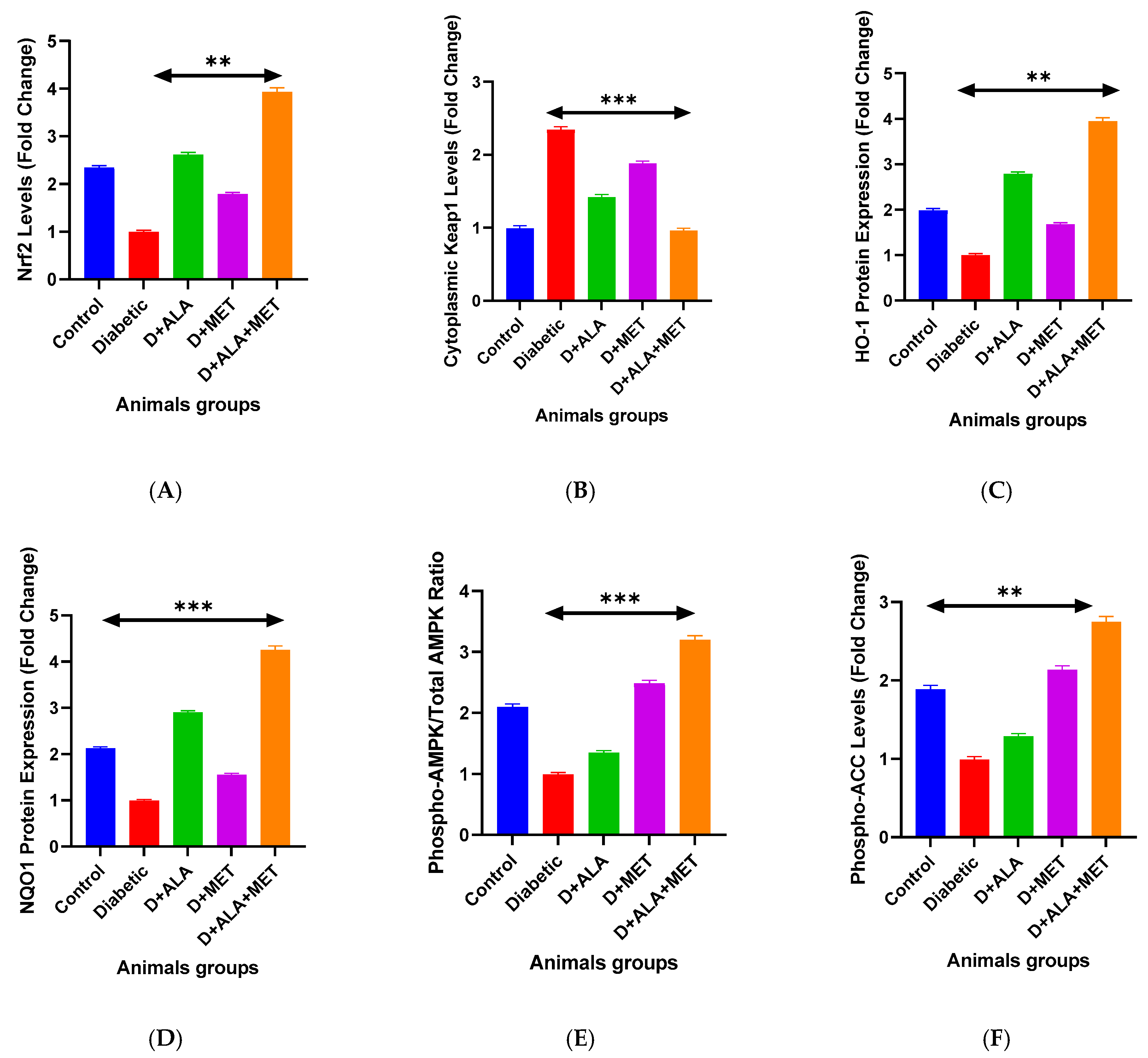 Biology 14 00885 g001