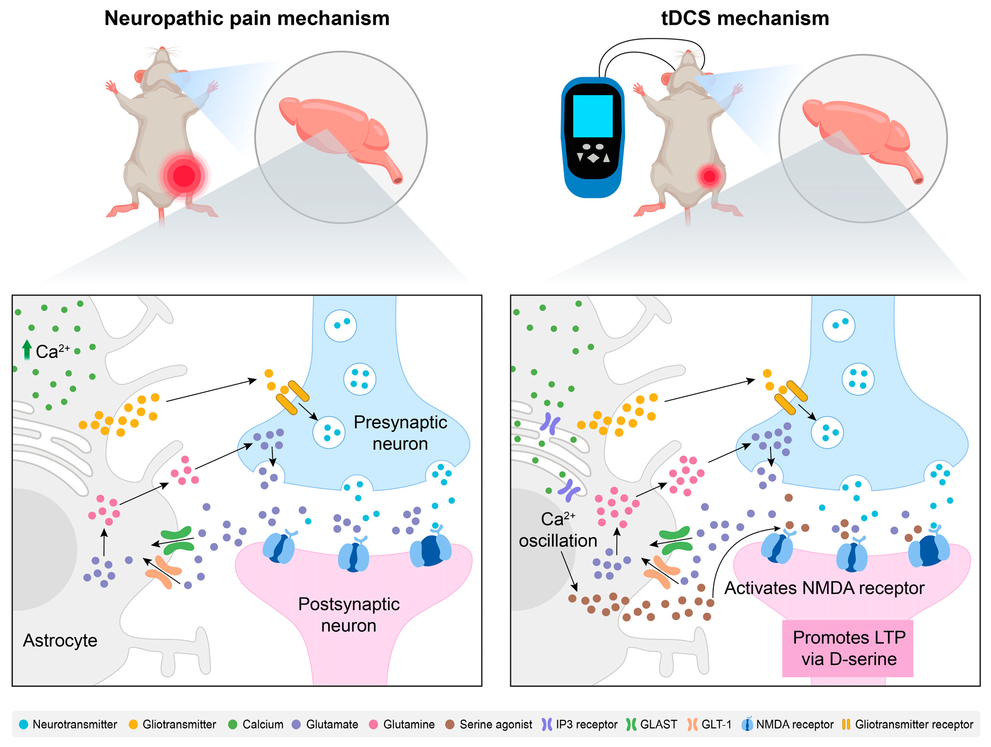 Biology 14 00892 g002