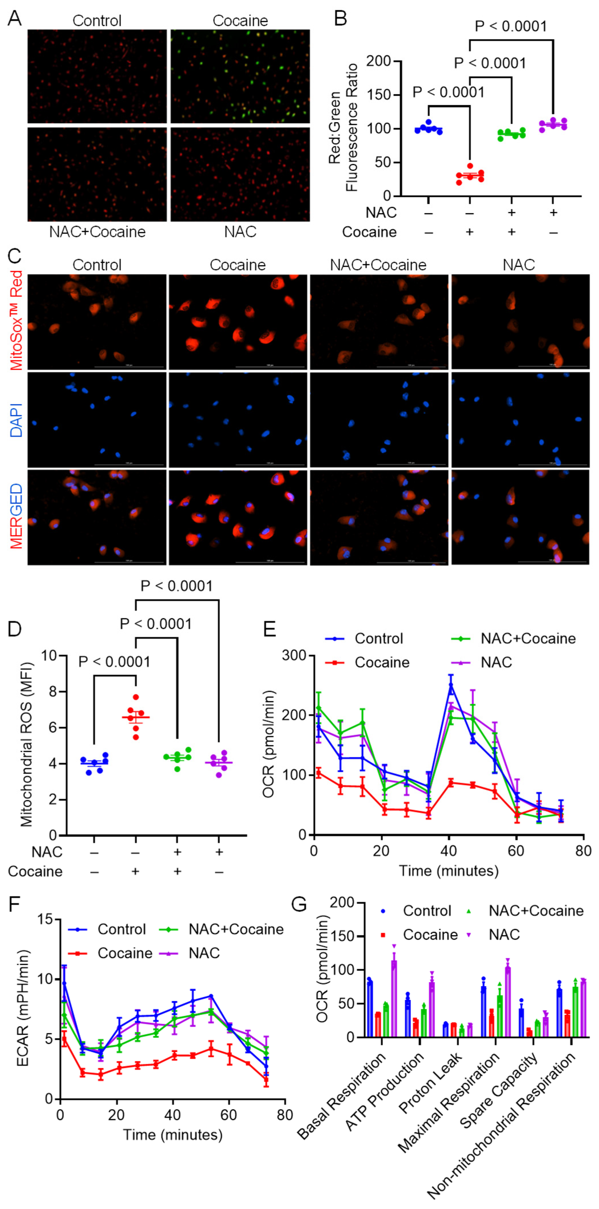 Biology 14 00893 g002 Biology 14 00893 g002