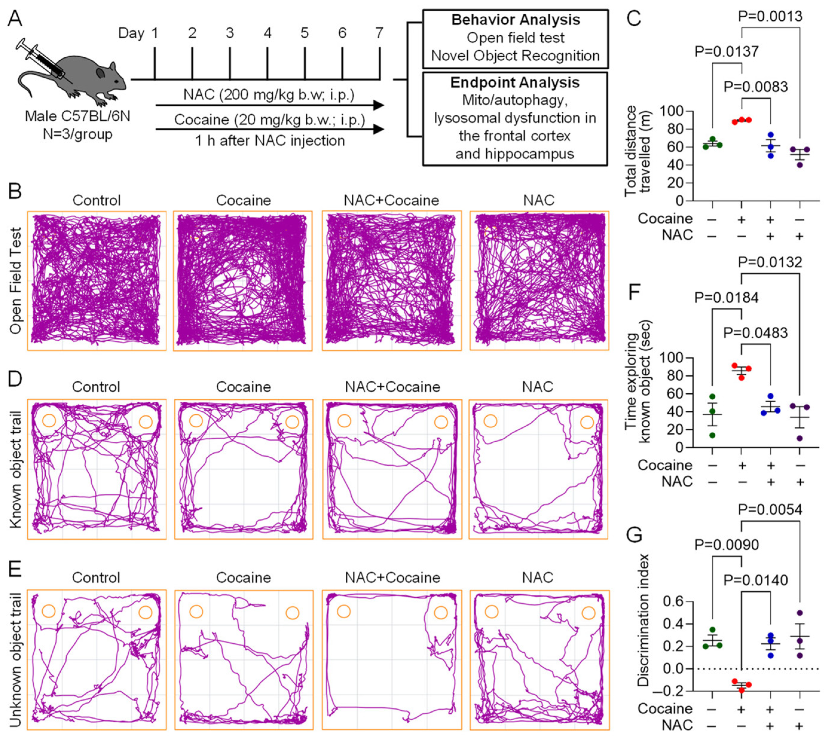 Biology 14 00893 g004 Biology 14 00893 g004