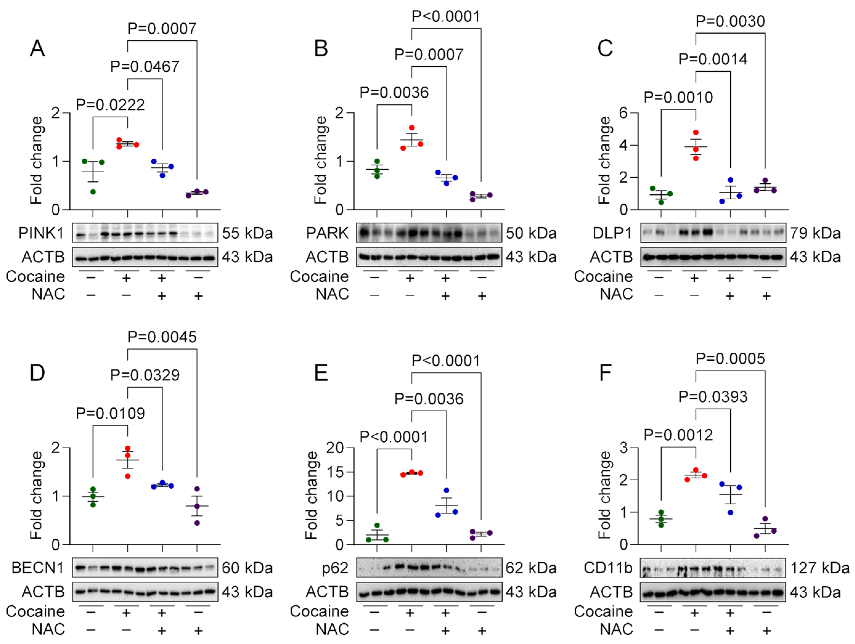 Biology 14 00893 g005 Biology 14 00893 g005