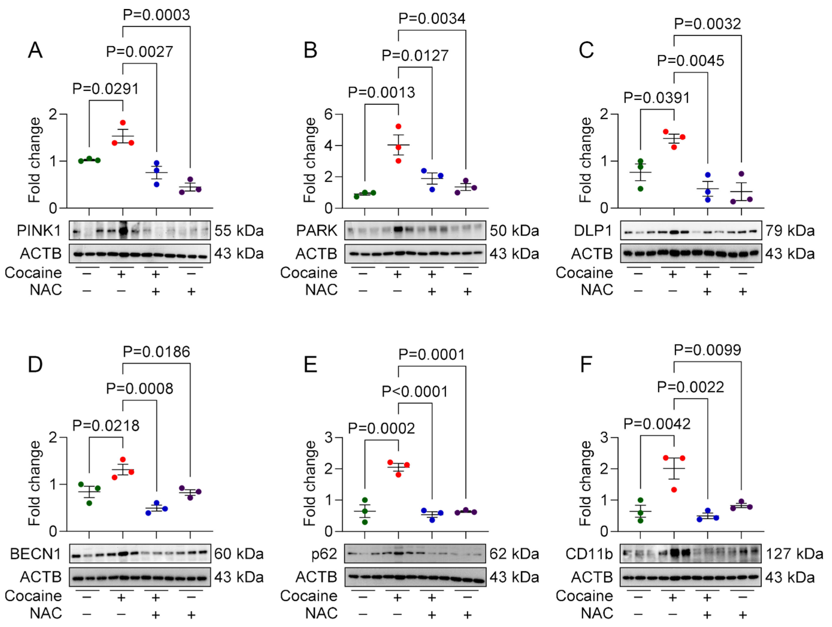 Biology 14 00893 g006 Biology 14 00893 g006