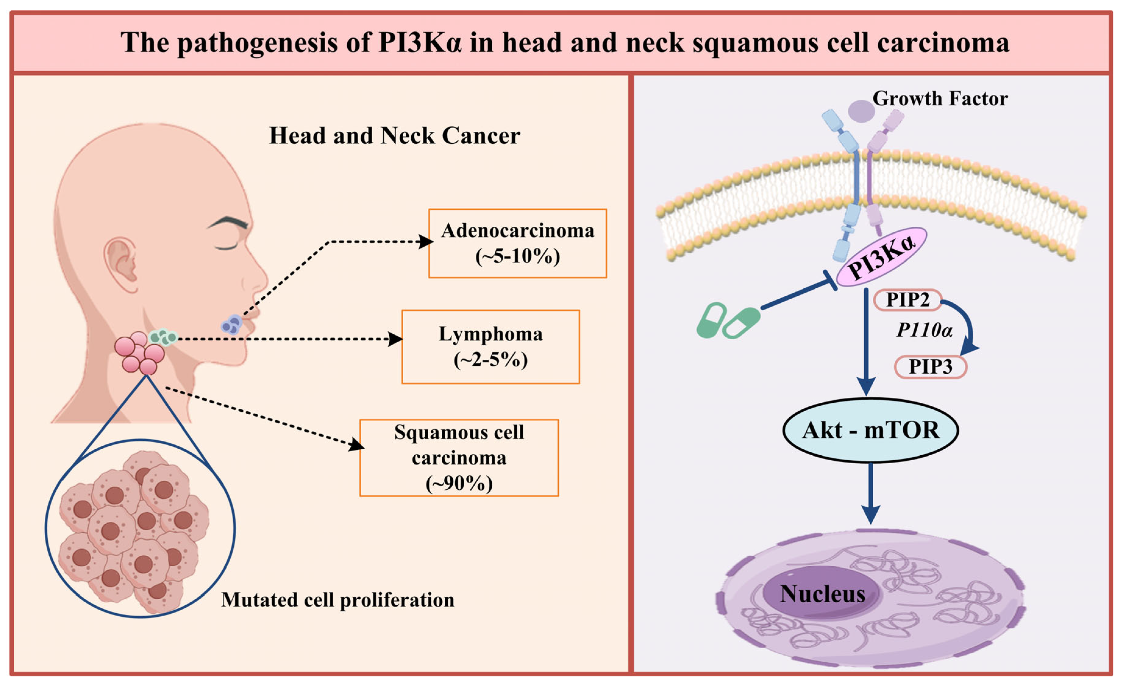 Biology 14 00896 g001