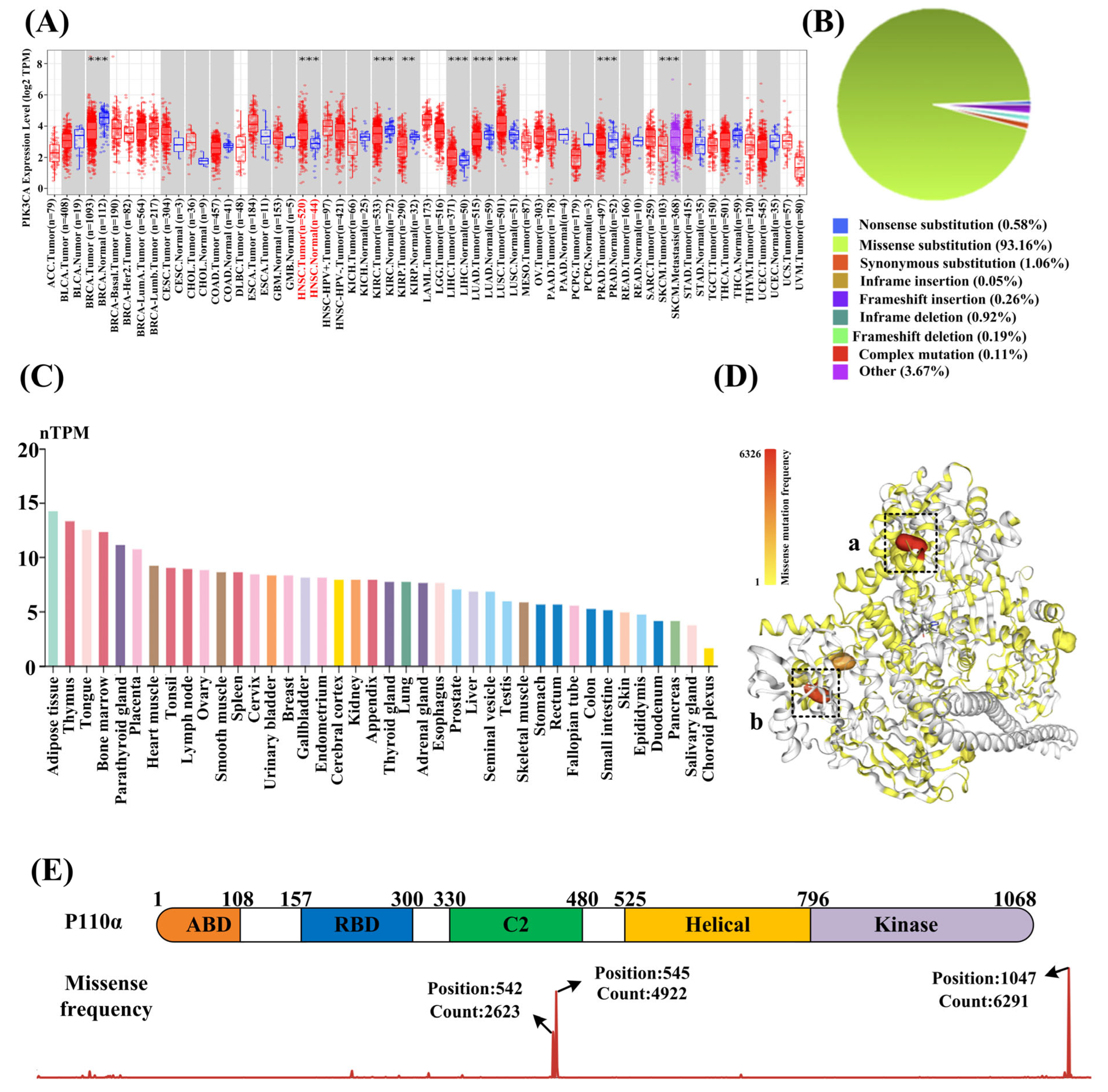 Biology 14 00896 g003