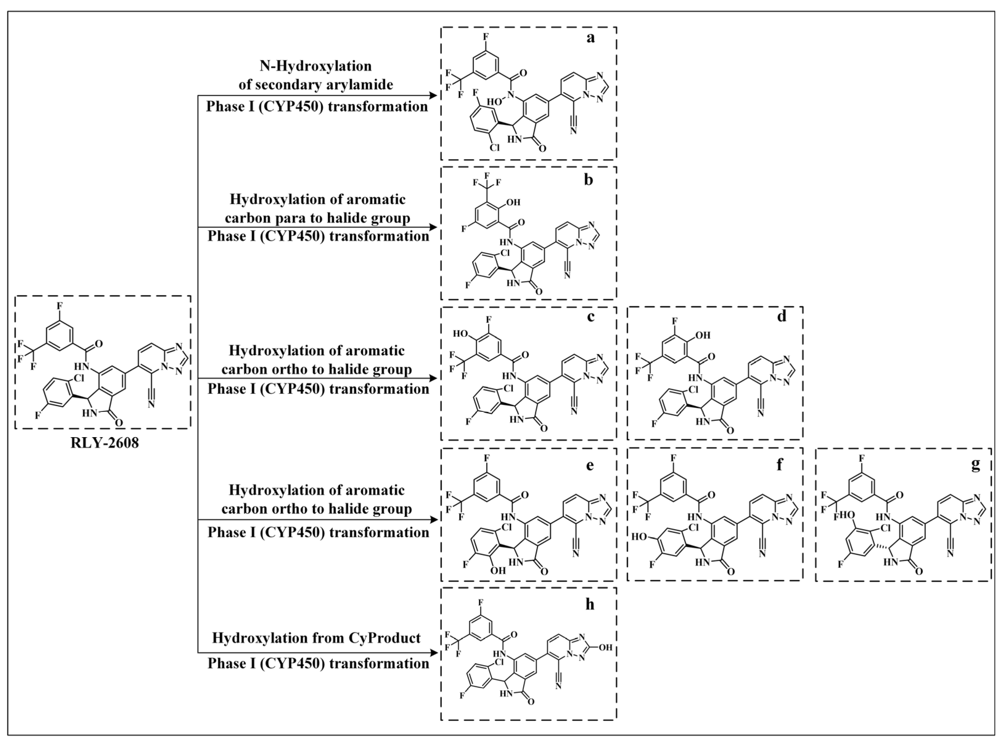 Biology 14 00896 g011