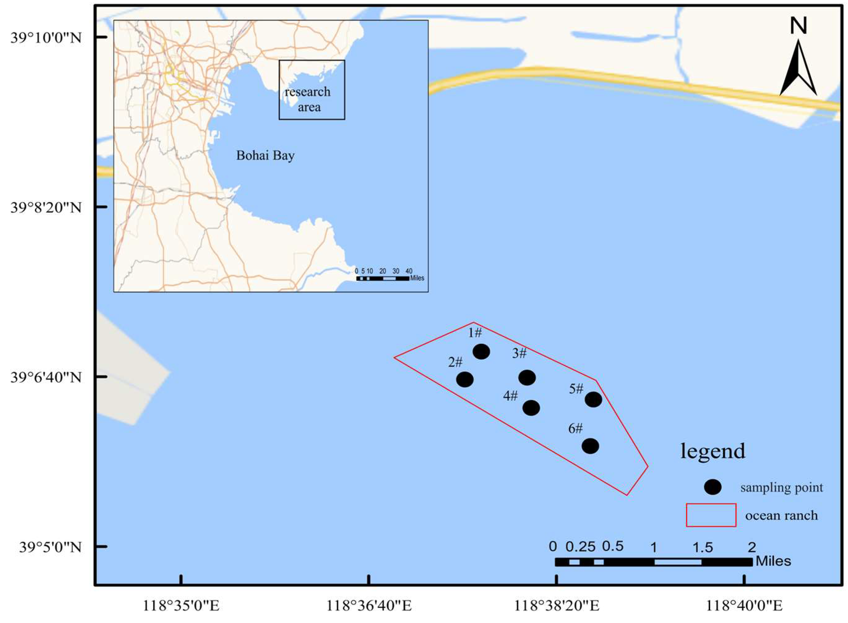 Biology 14 00901 g001