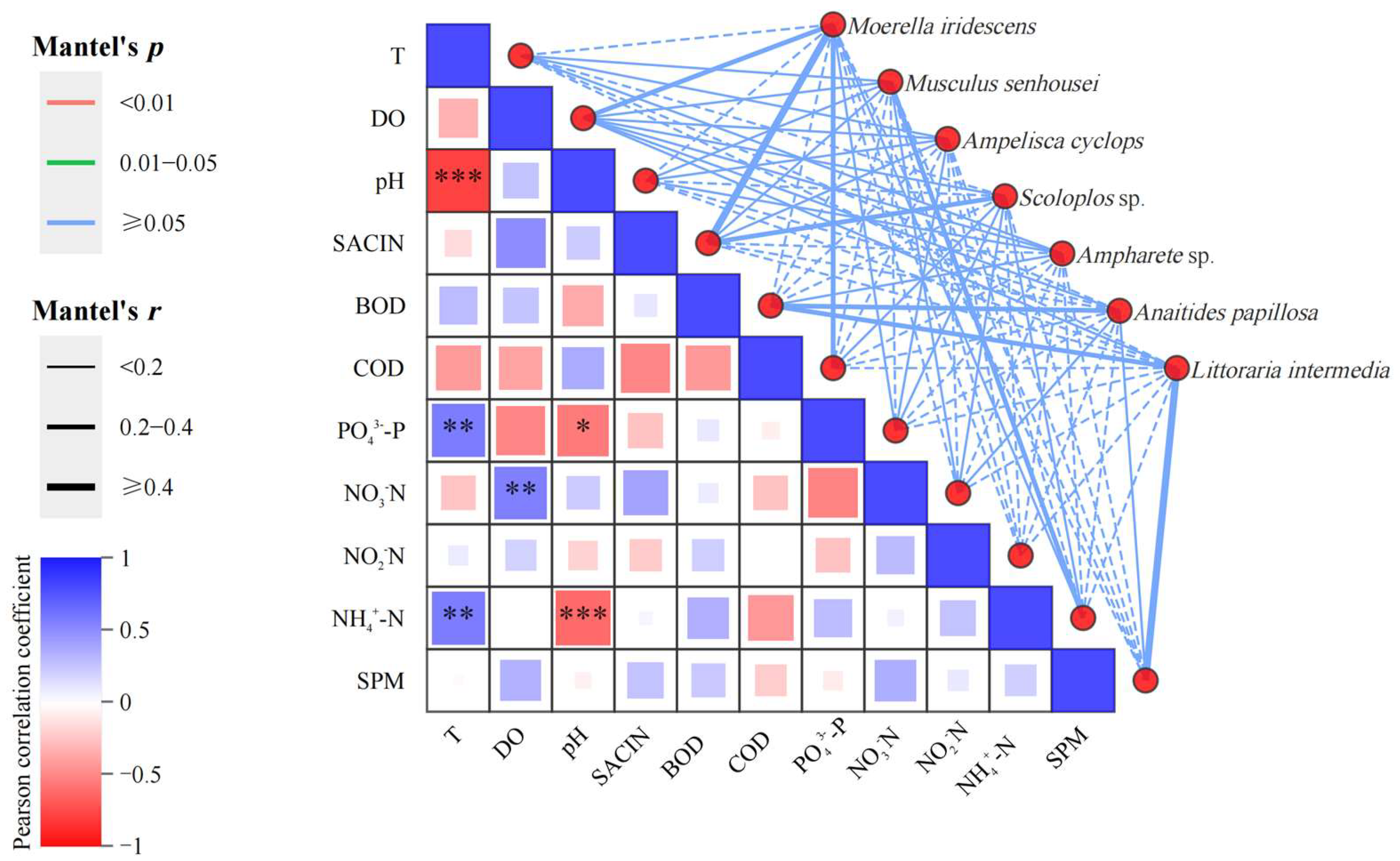 Biology 14 00901 g011