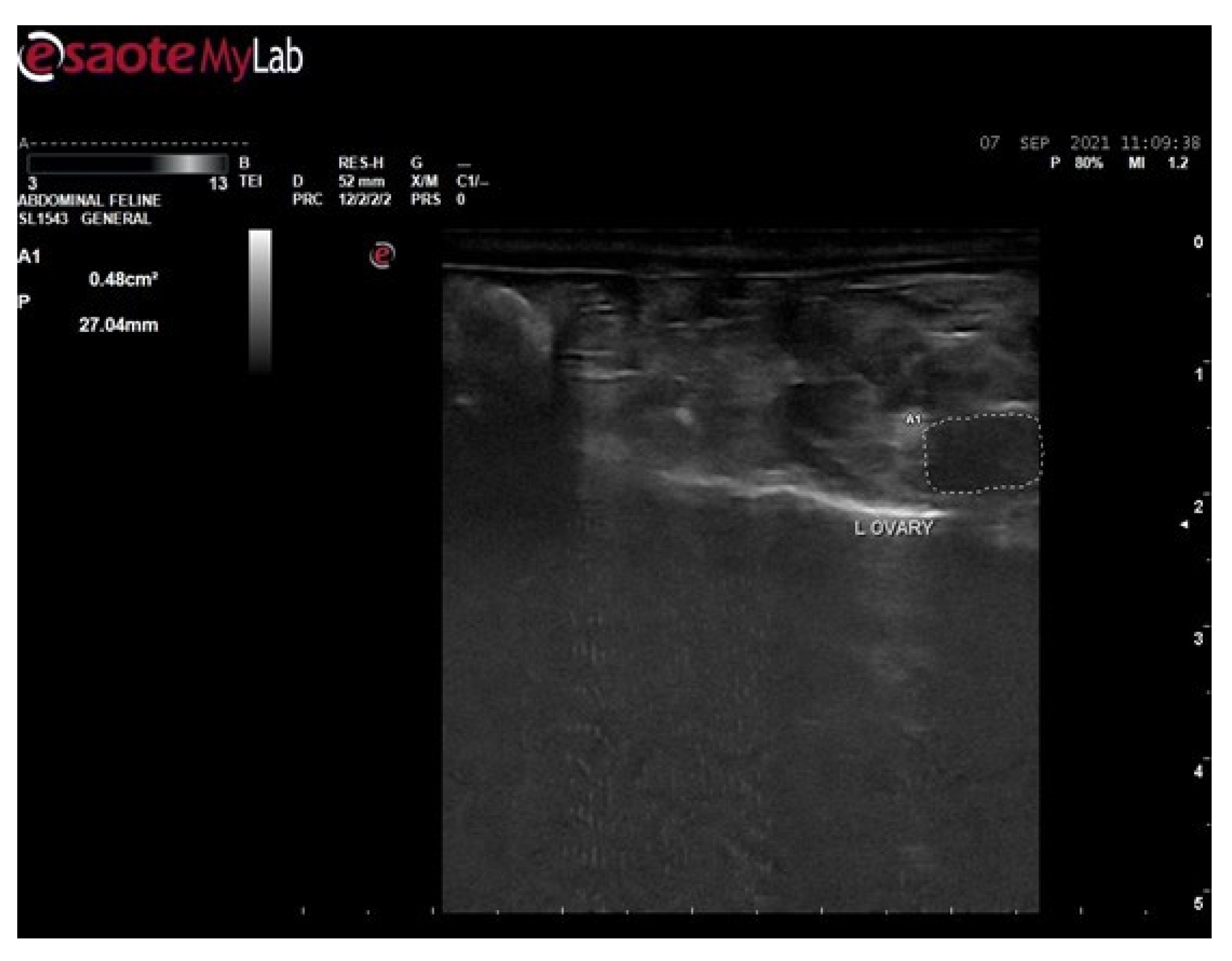 Biology 14 00903 g002