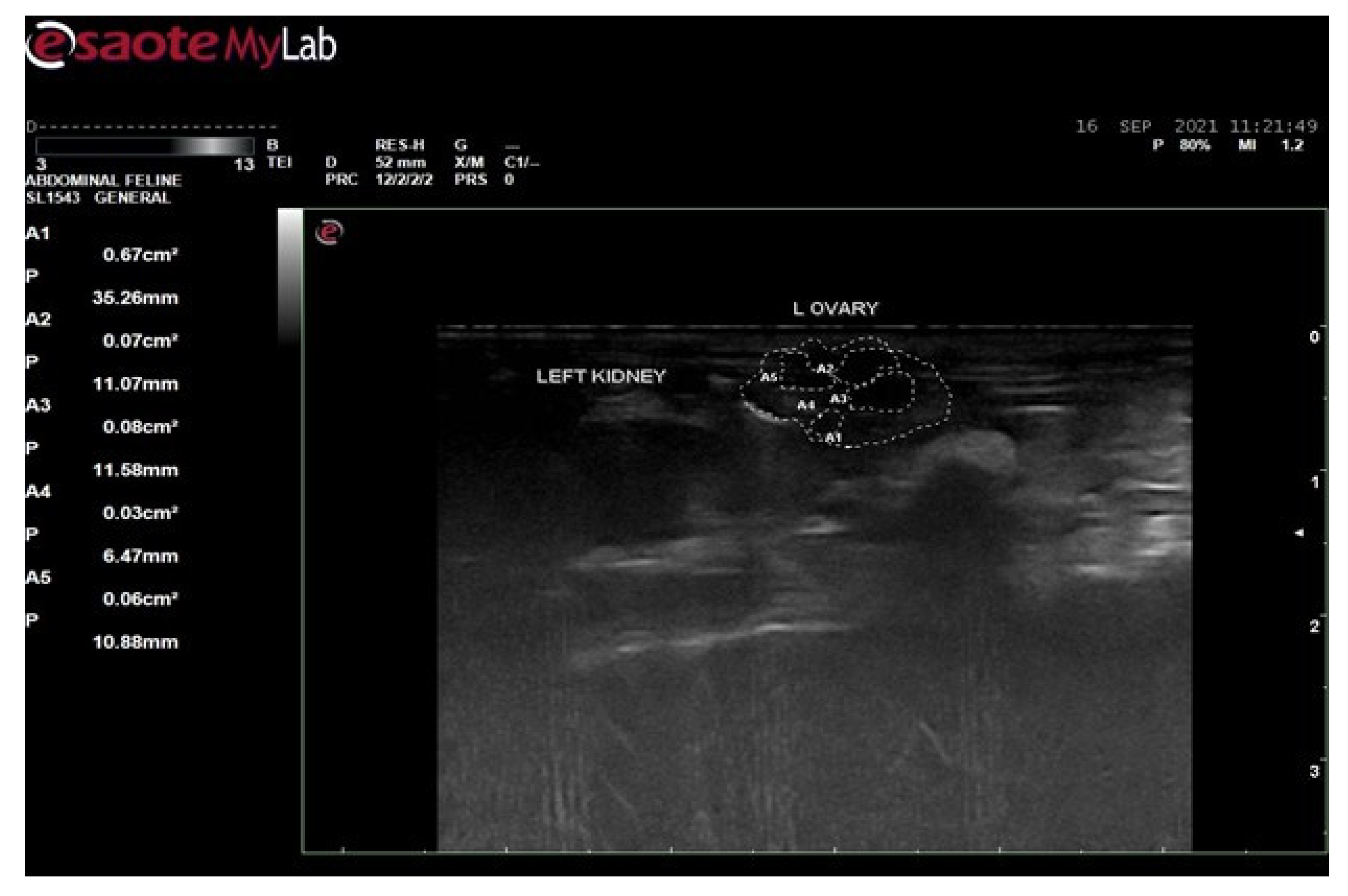 Biology 14 00903 g003