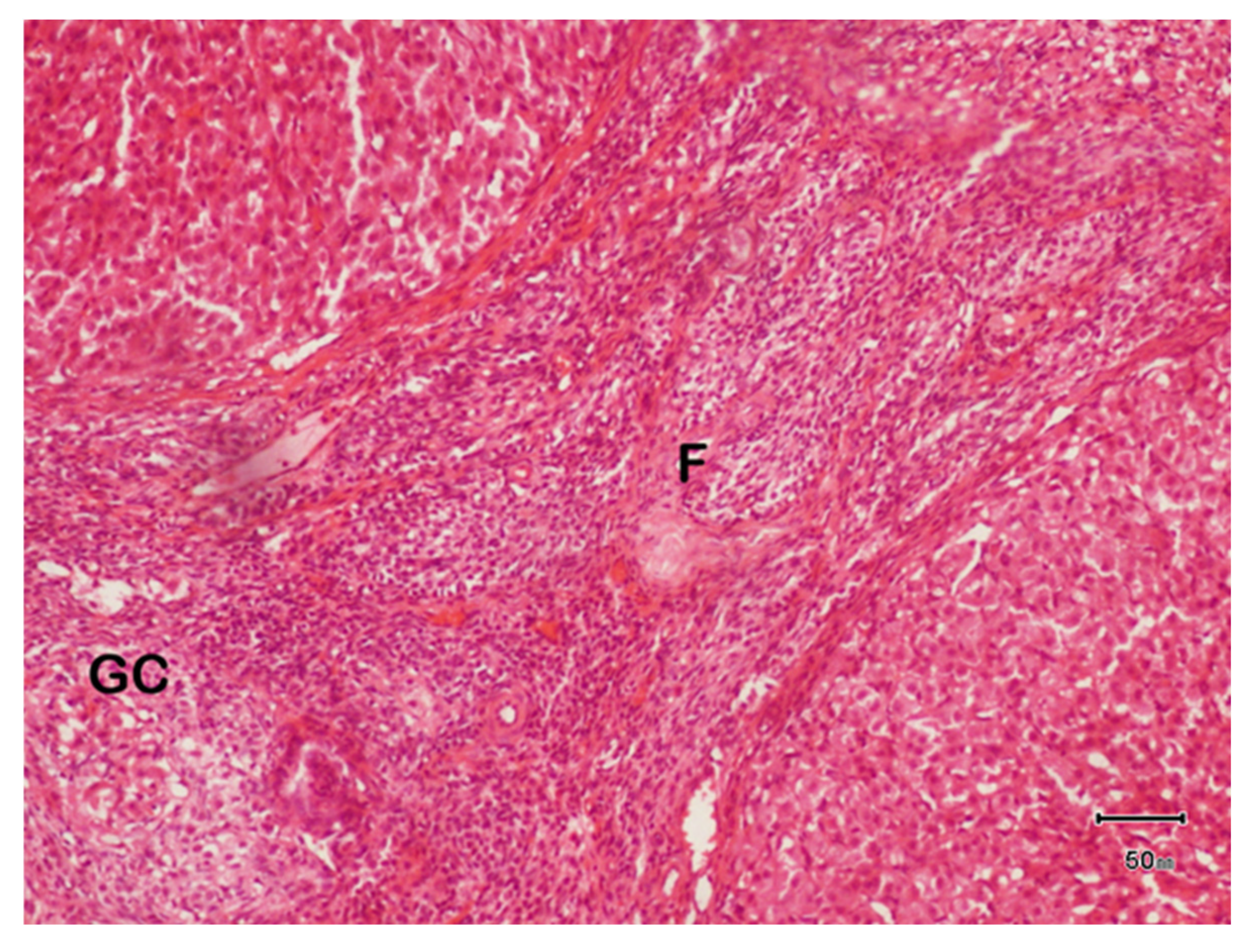 Biology 14 00903 g004