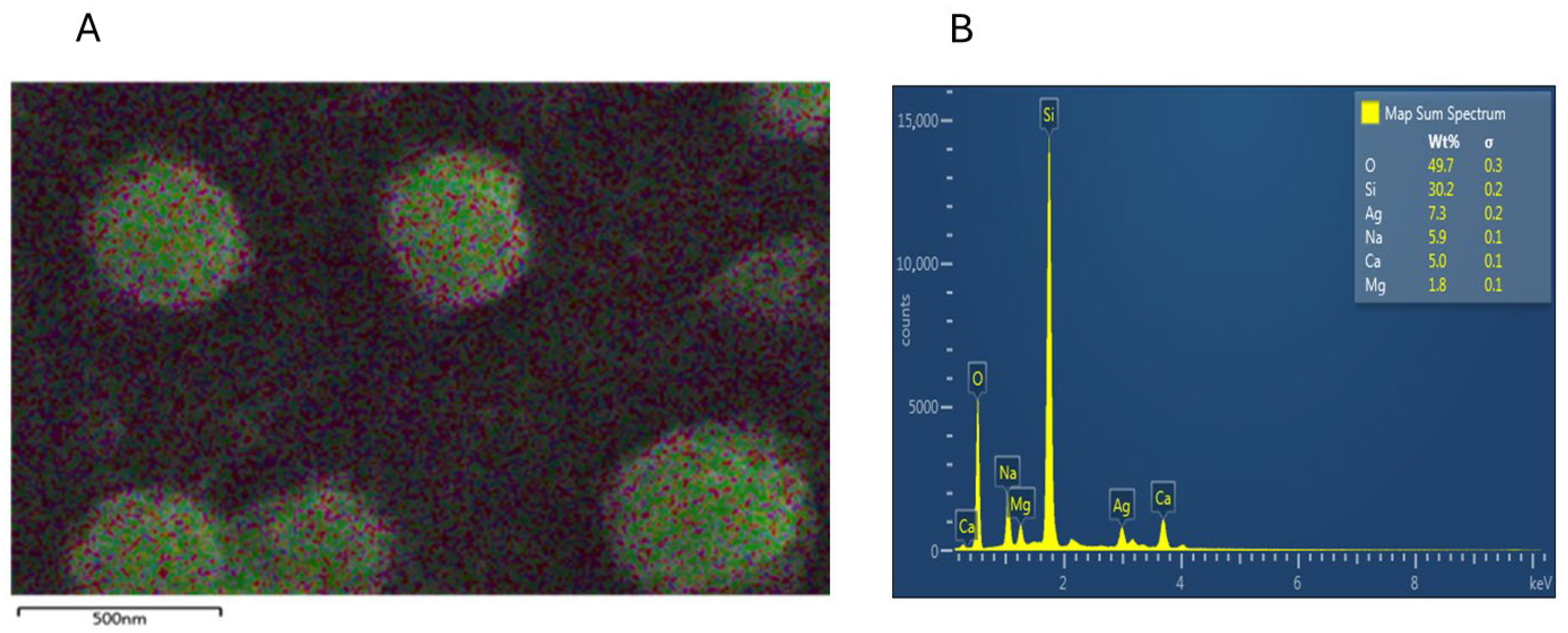 Biology 14 00904 g008