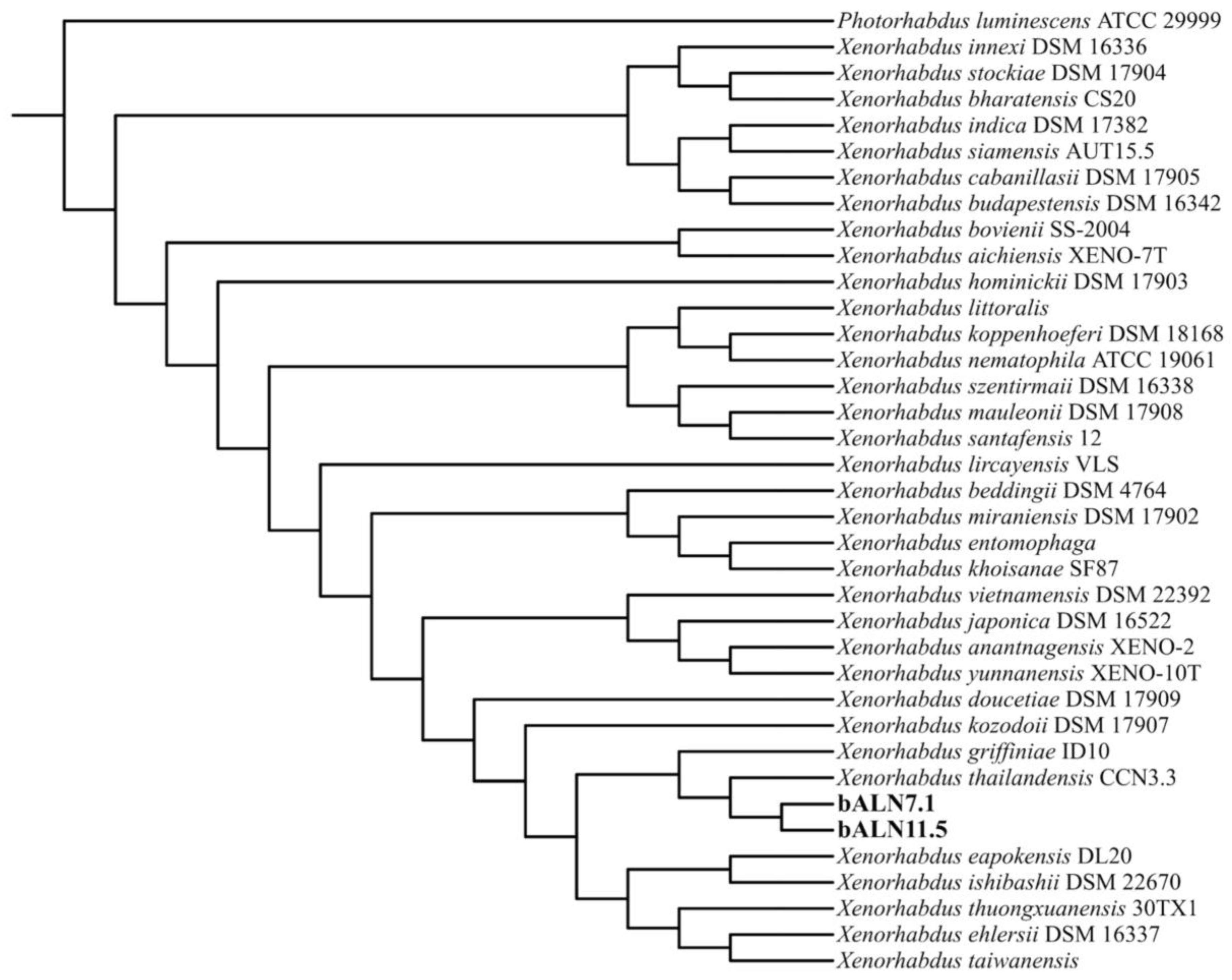 Biology 14 00905 g001
