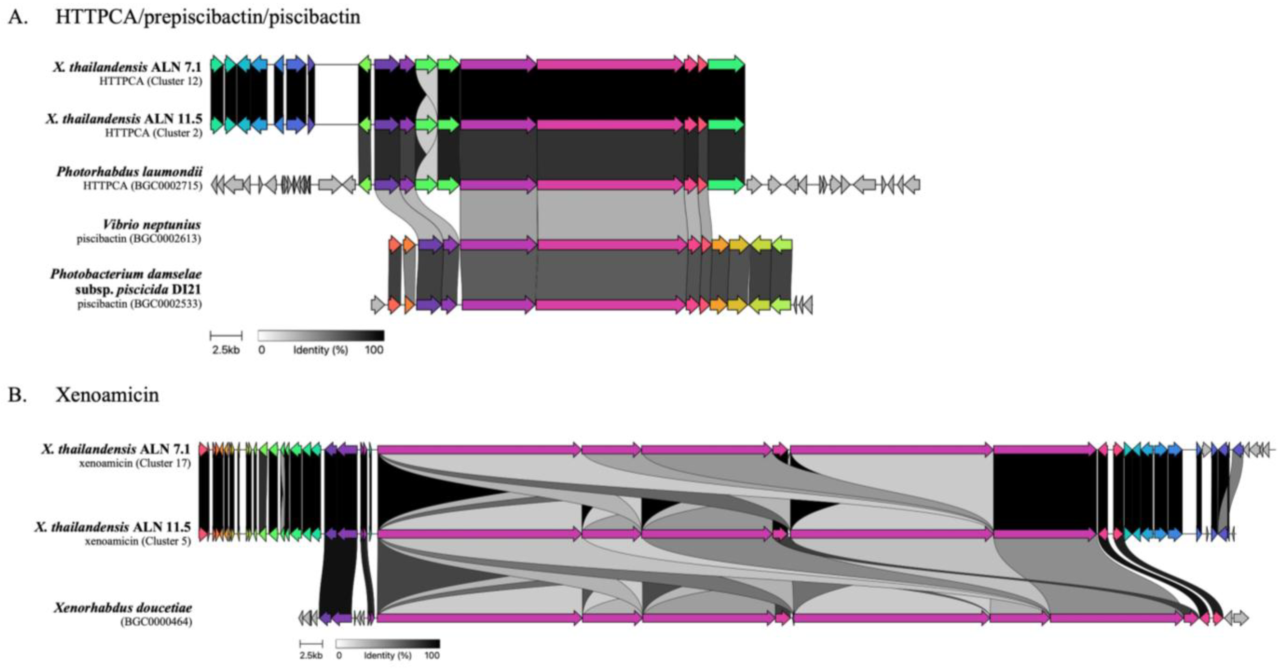 Biology 14 00905 g003