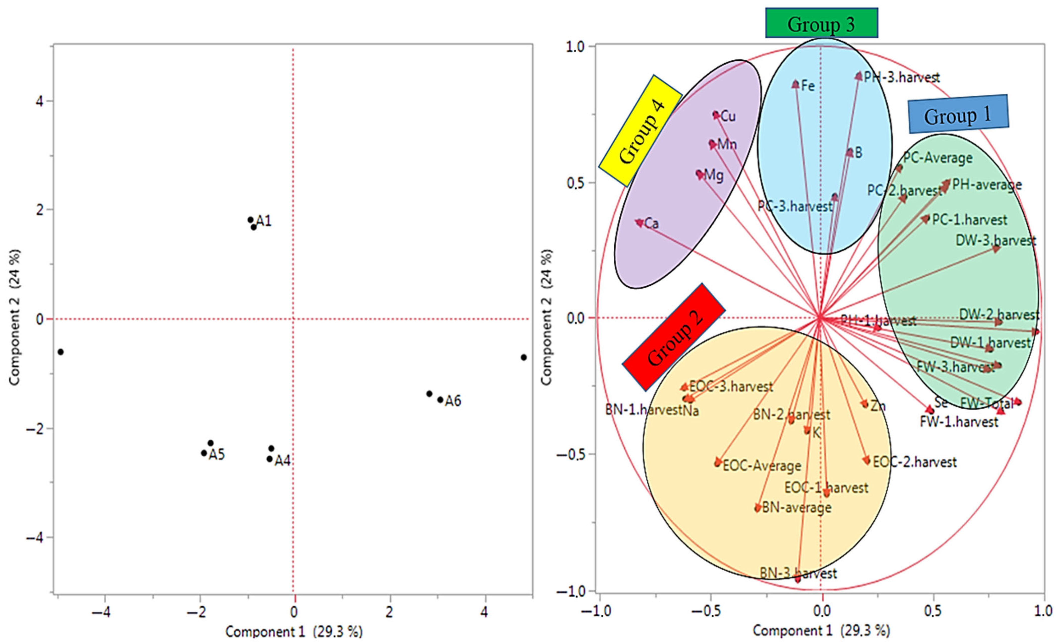 Biology 14 00906 g003
