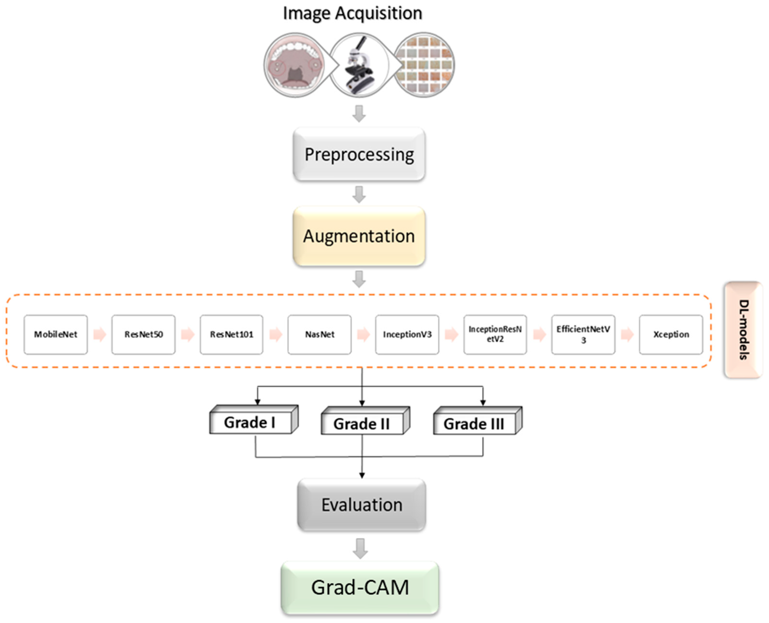 Biology 14 00909 g001