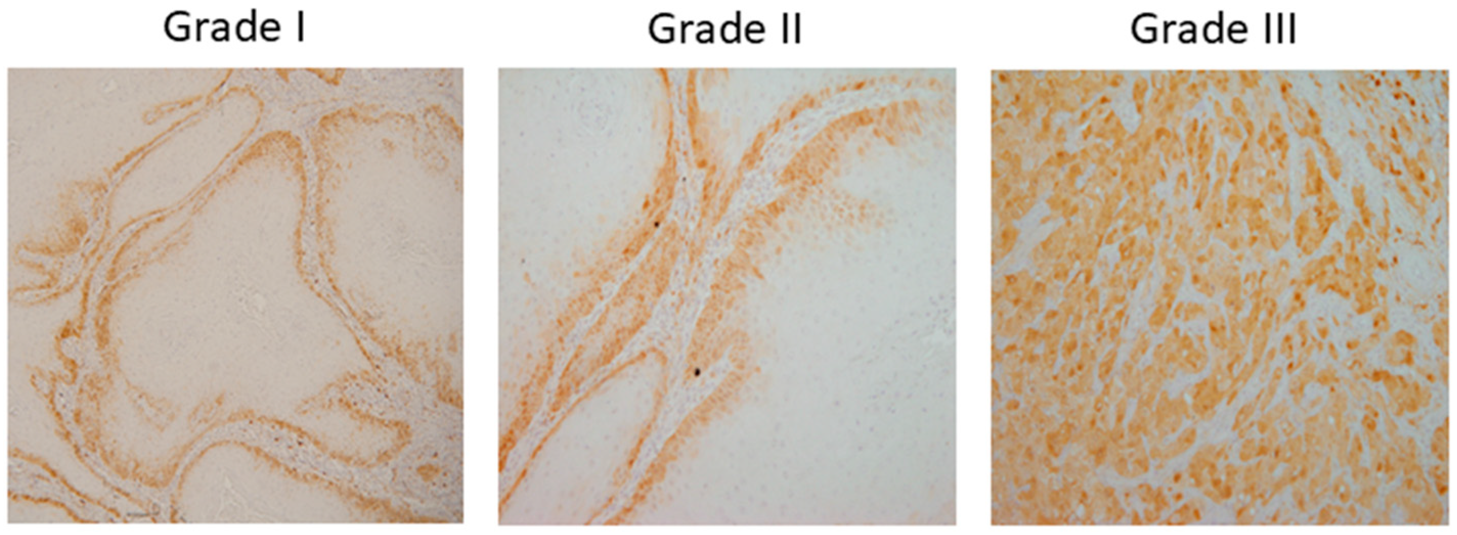 Biology 14 00909 g002