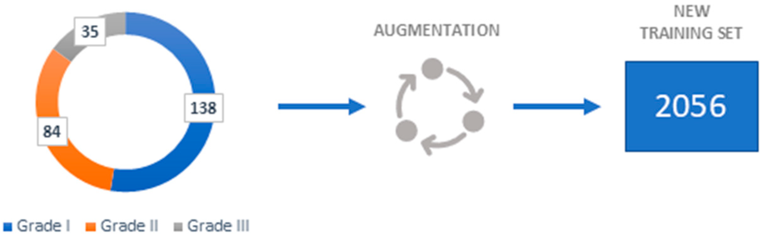 Biology 14 00909 g003