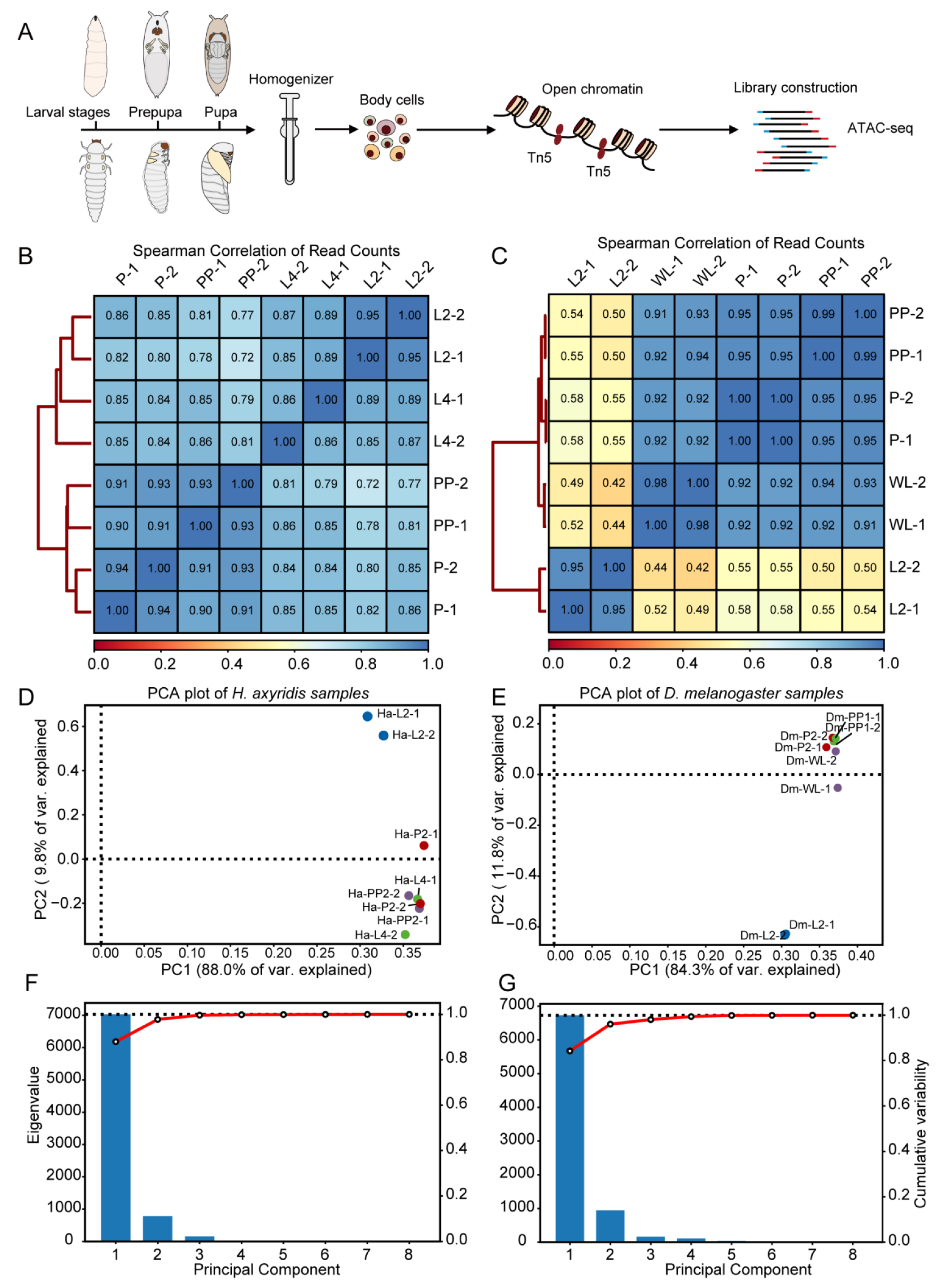 Biology 14 00912 g001